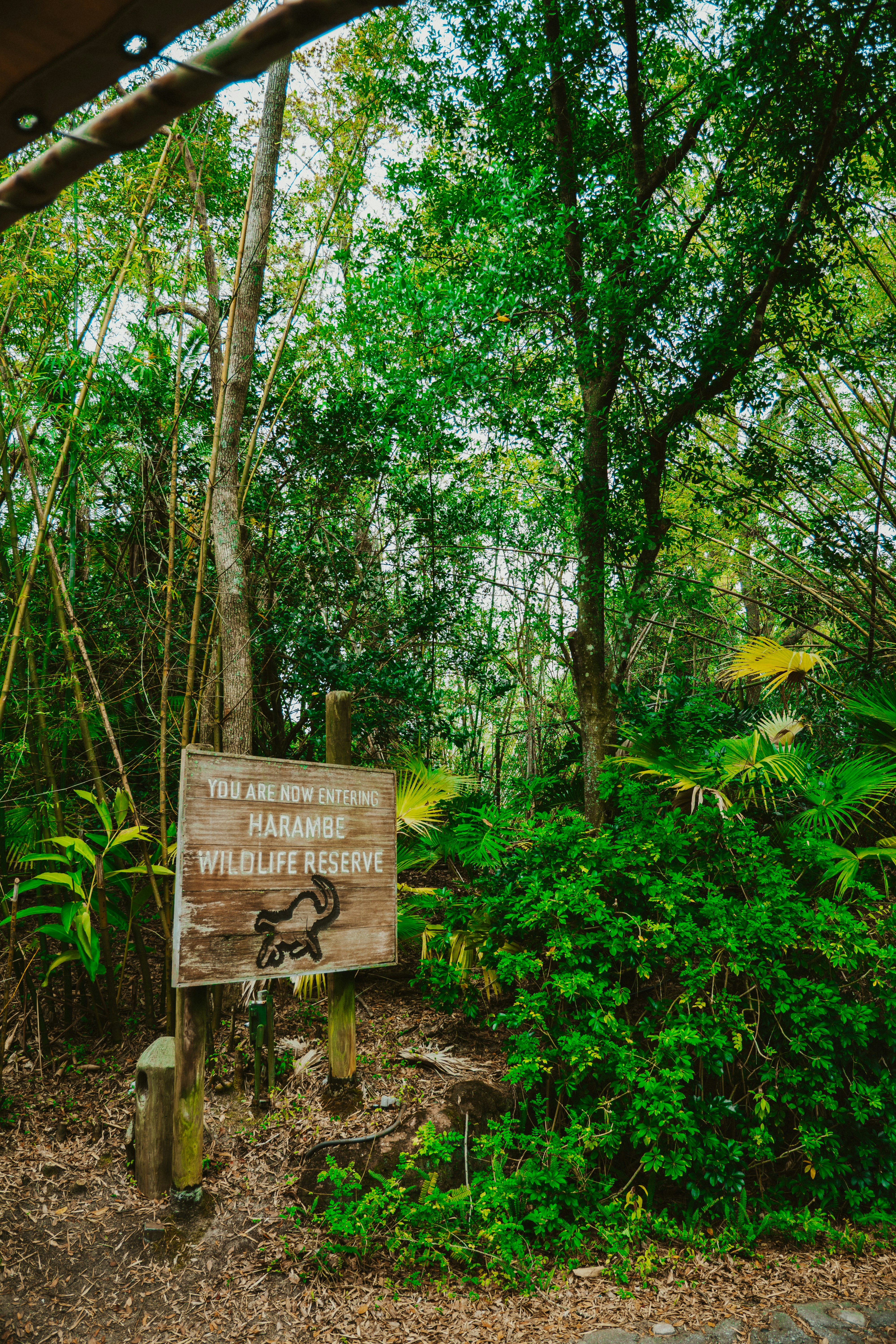 Photo by nickfuentes_