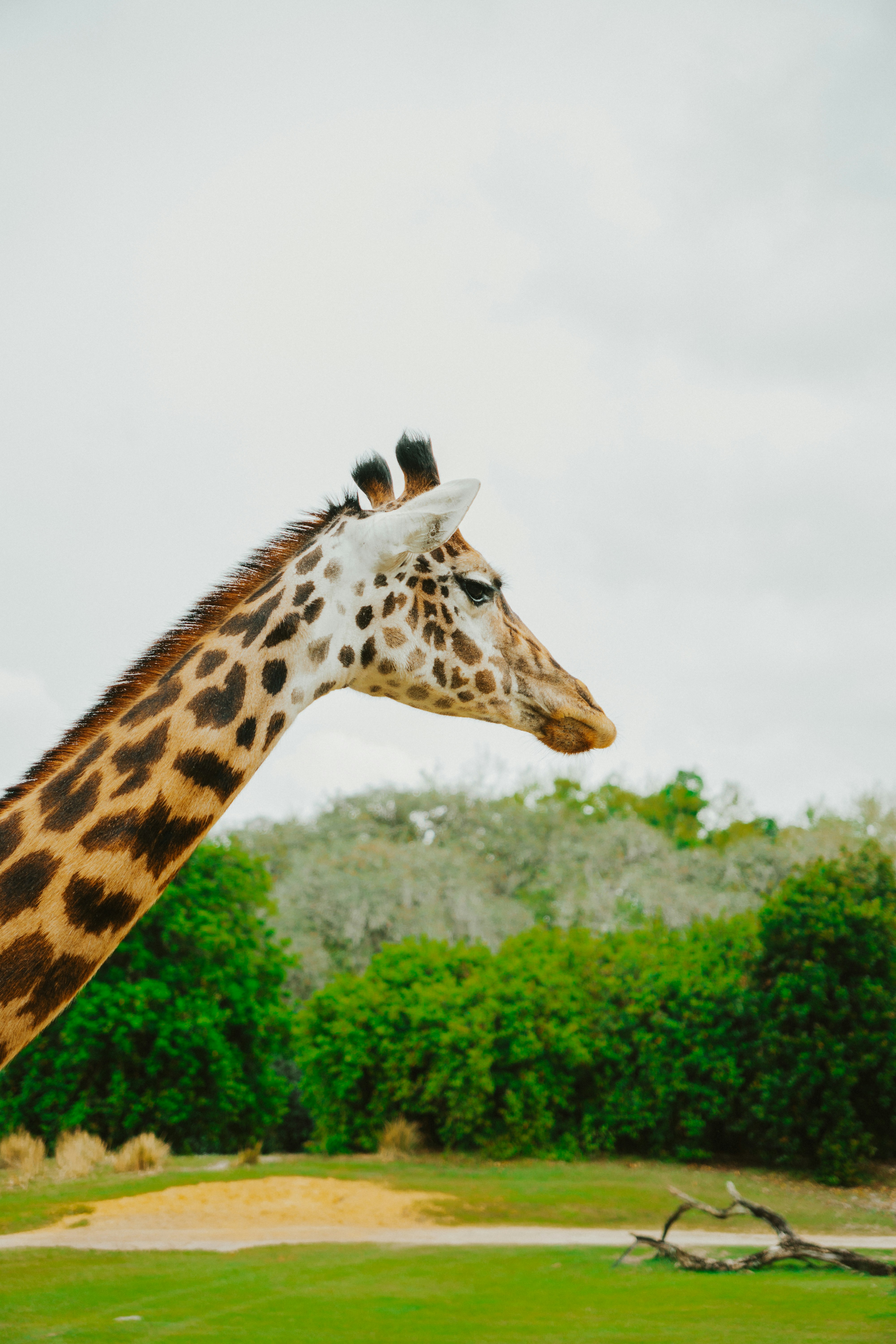 Photo by nickfuentes_