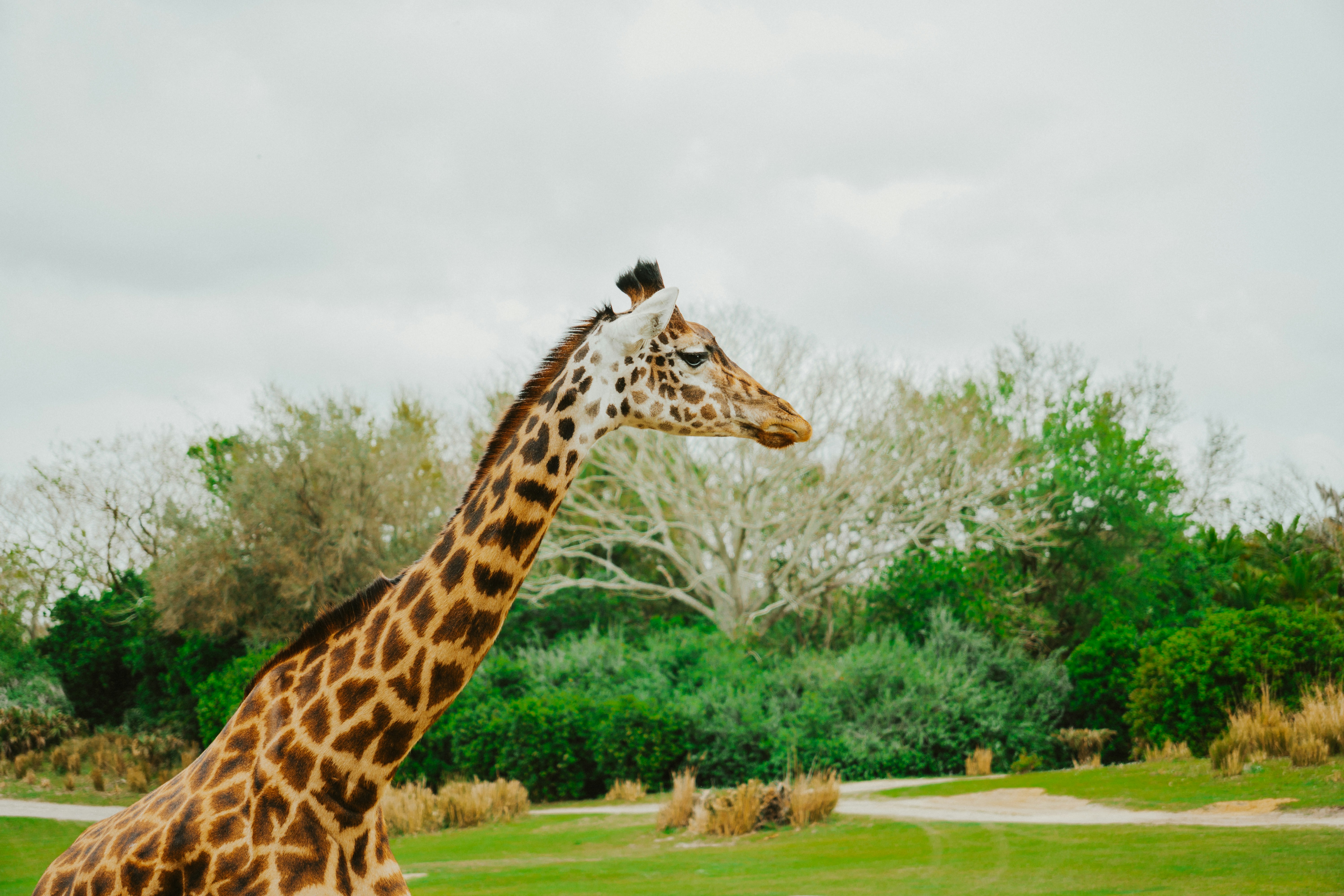 Photo by nickfuentes_