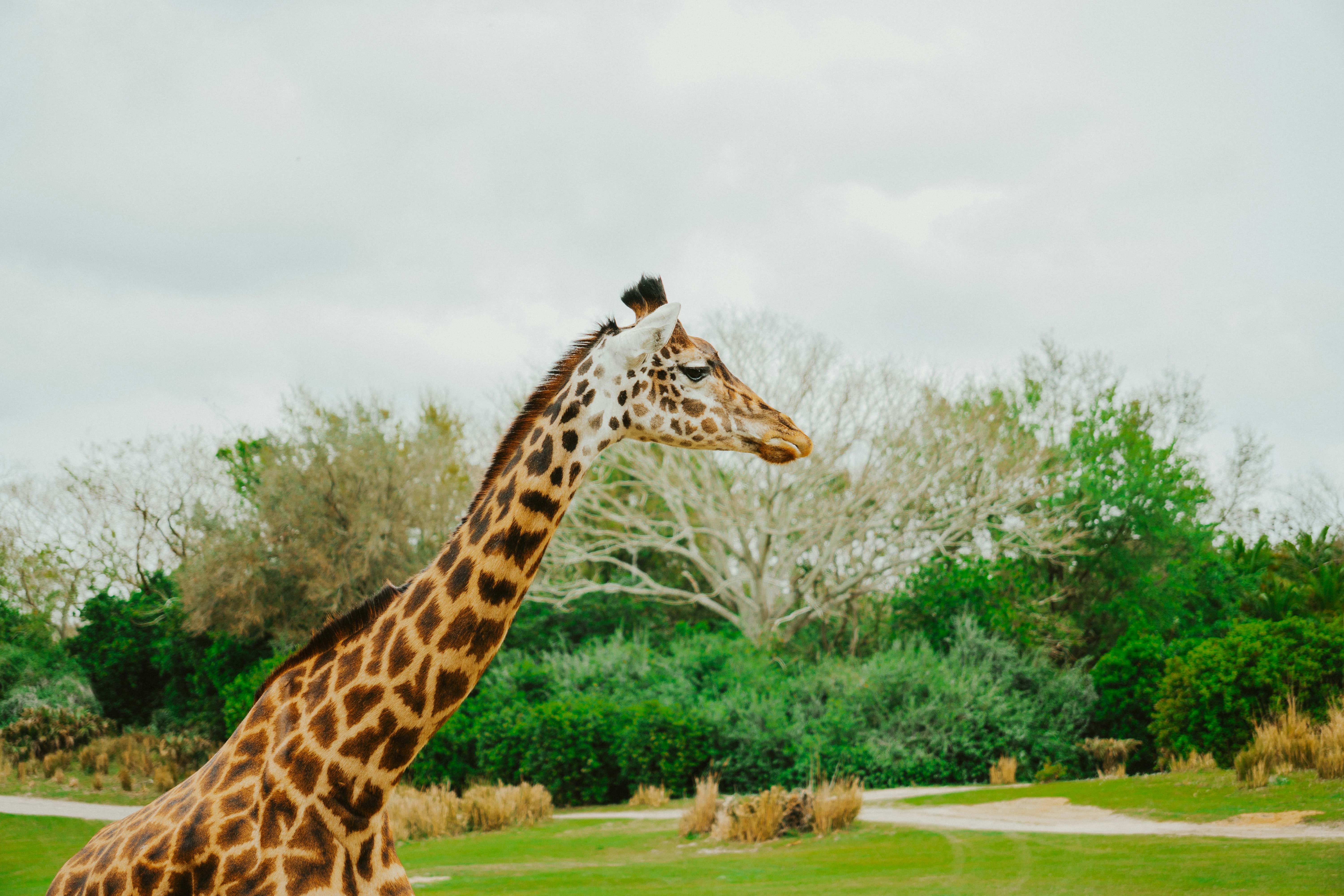 Photo by nickfuentes_