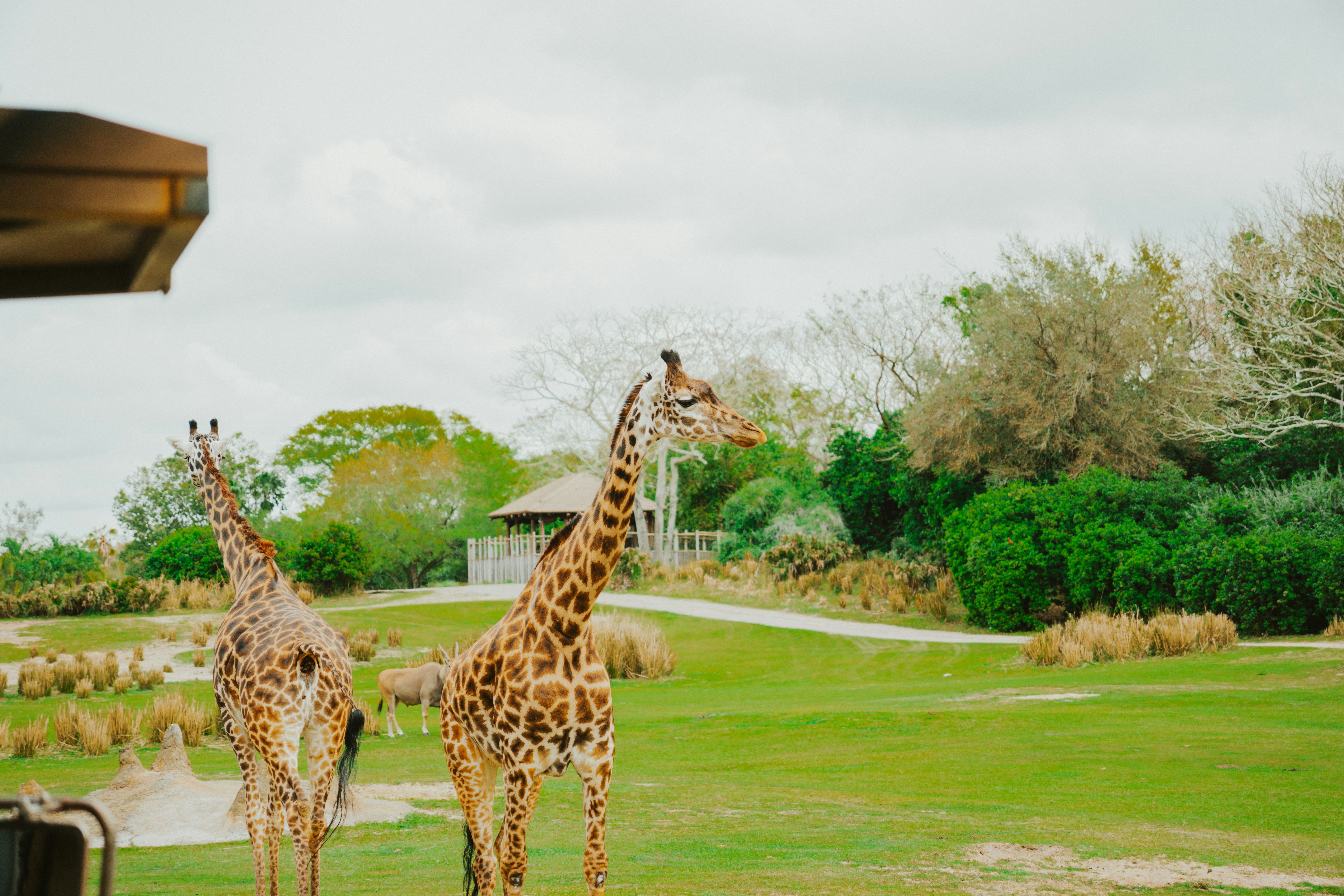 Photo by nickfuentes_