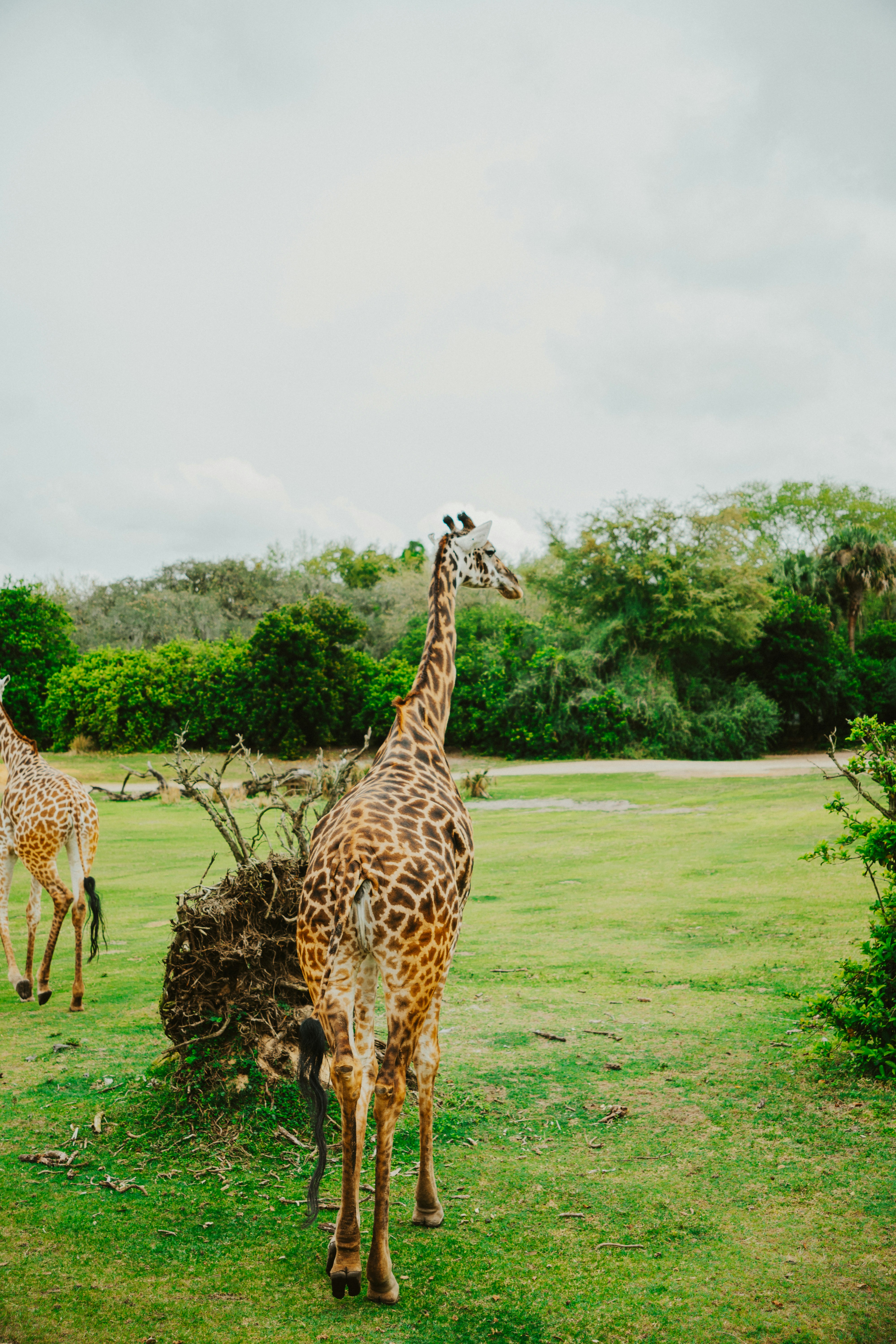 Photo by nickfuentes_