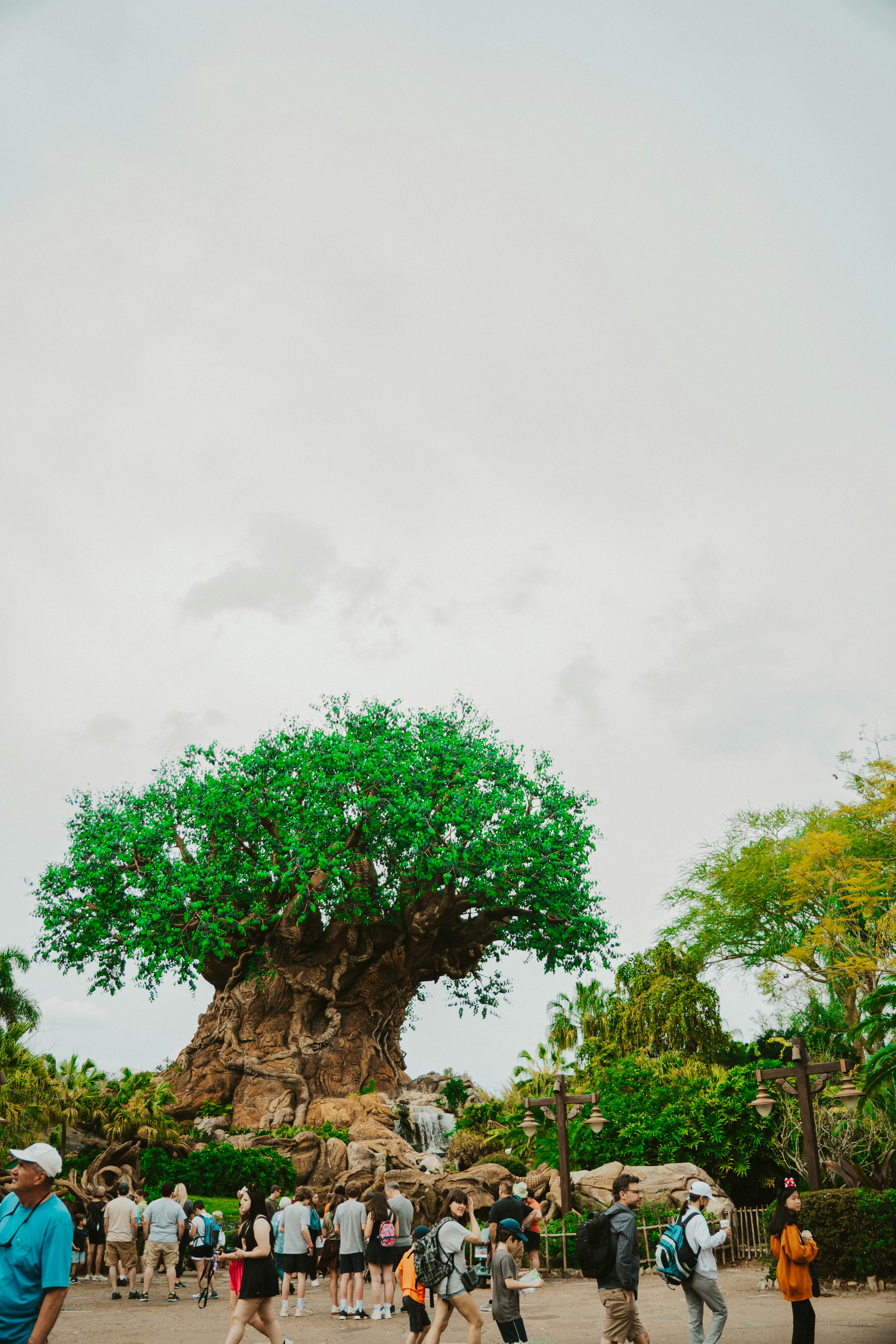 Photo by nickfuentes_