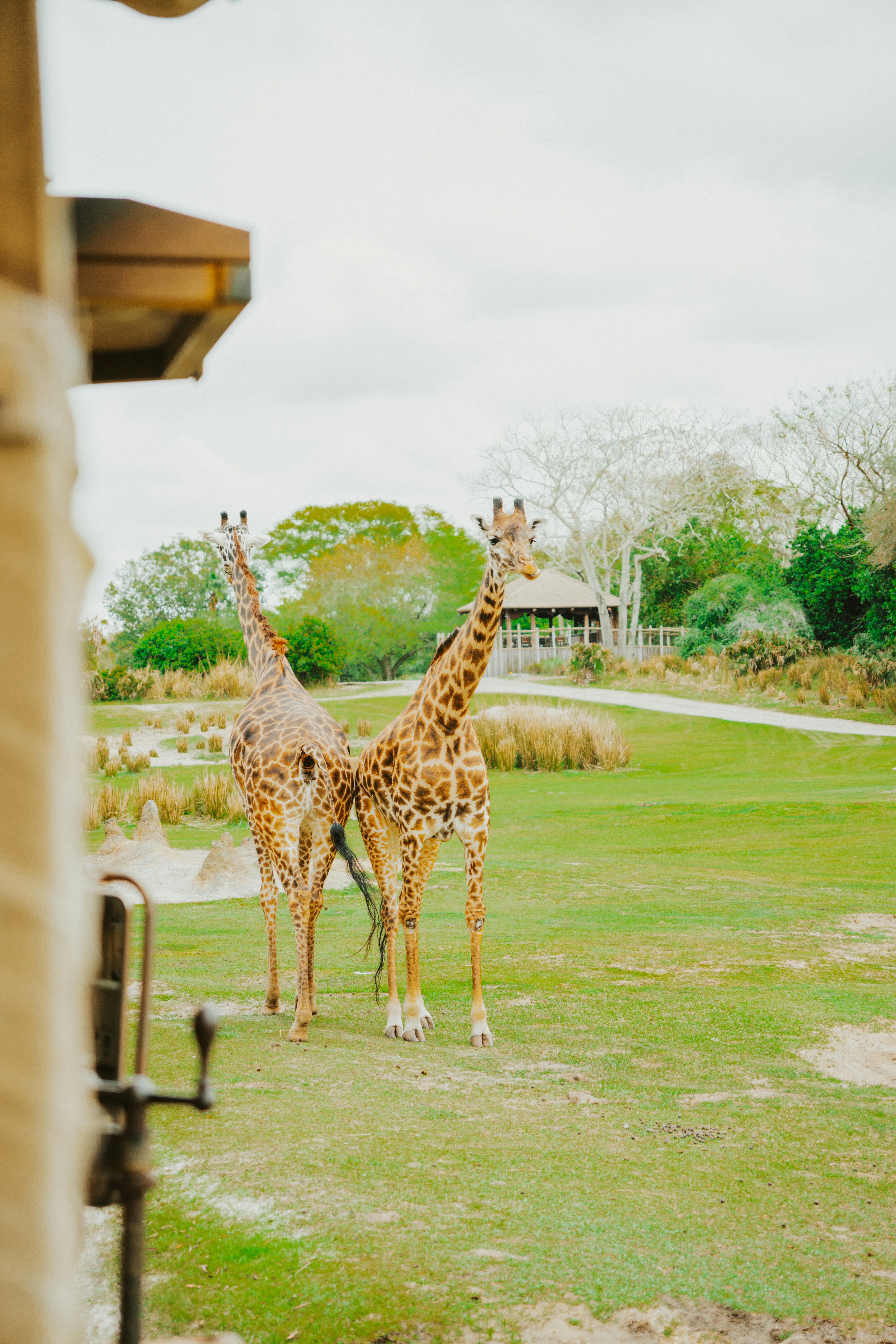 Photo by nickfuentes_