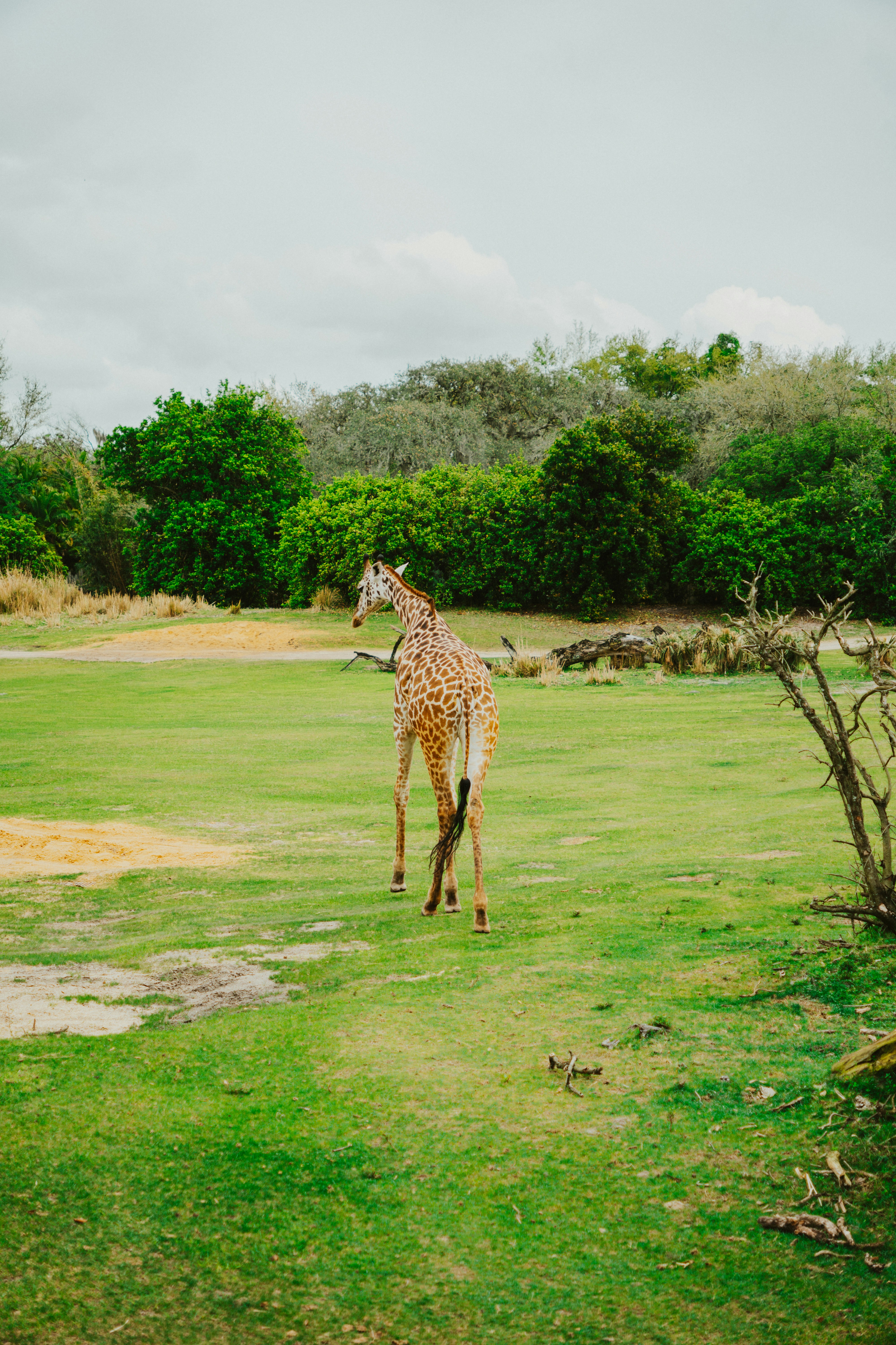 Photo by nickfuentes_