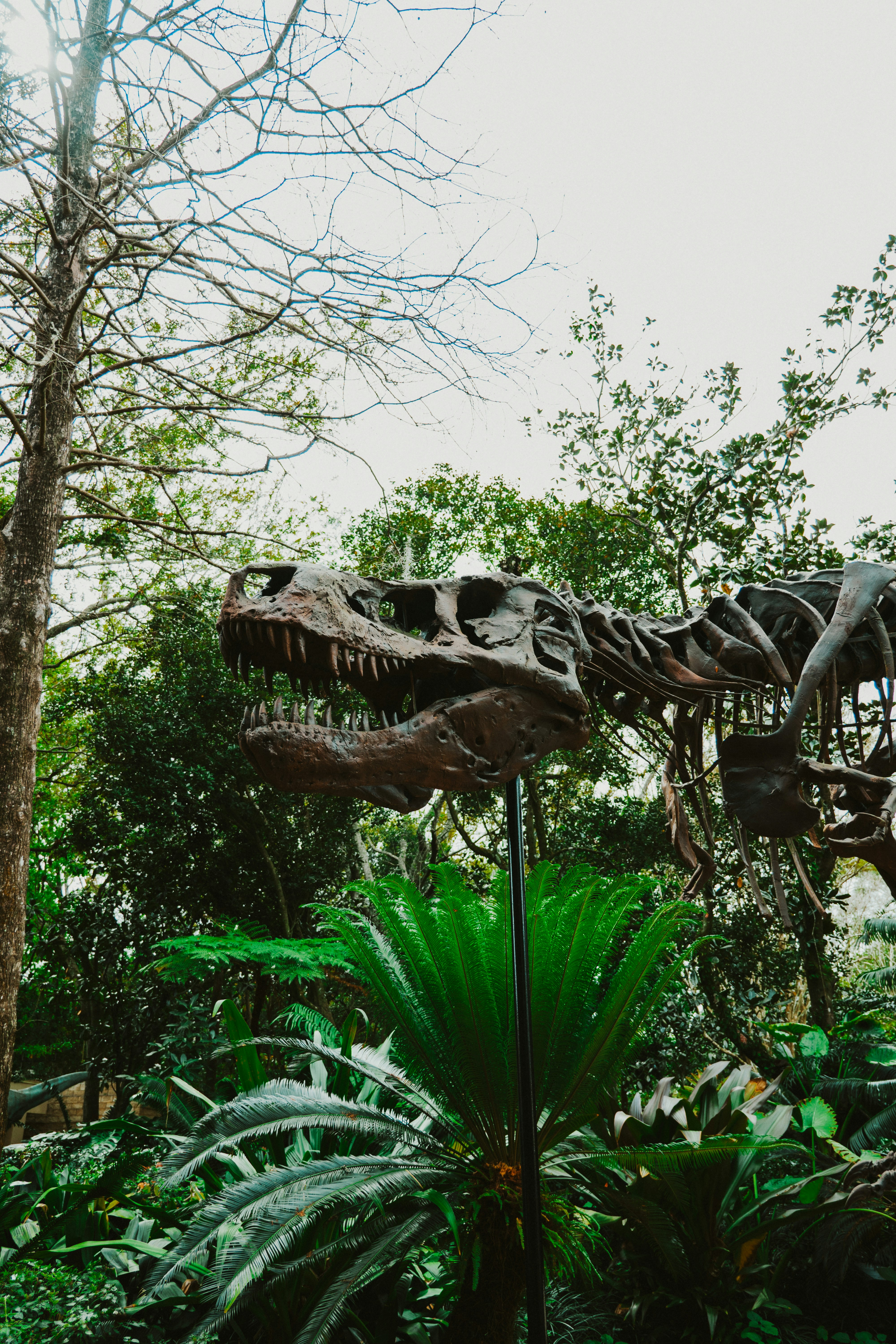 Photo by nickfuentes_