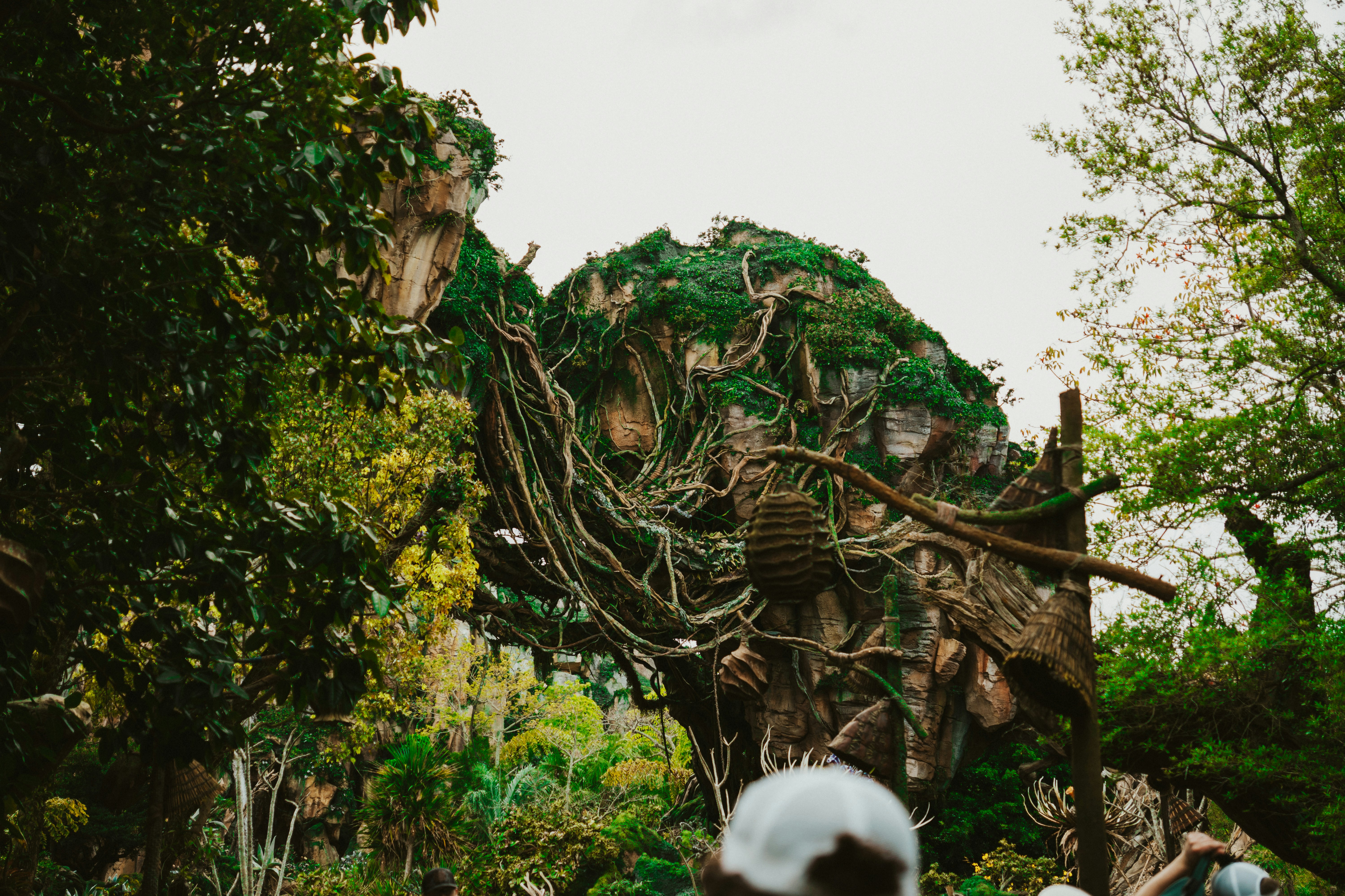 Photo by nickfuentes_