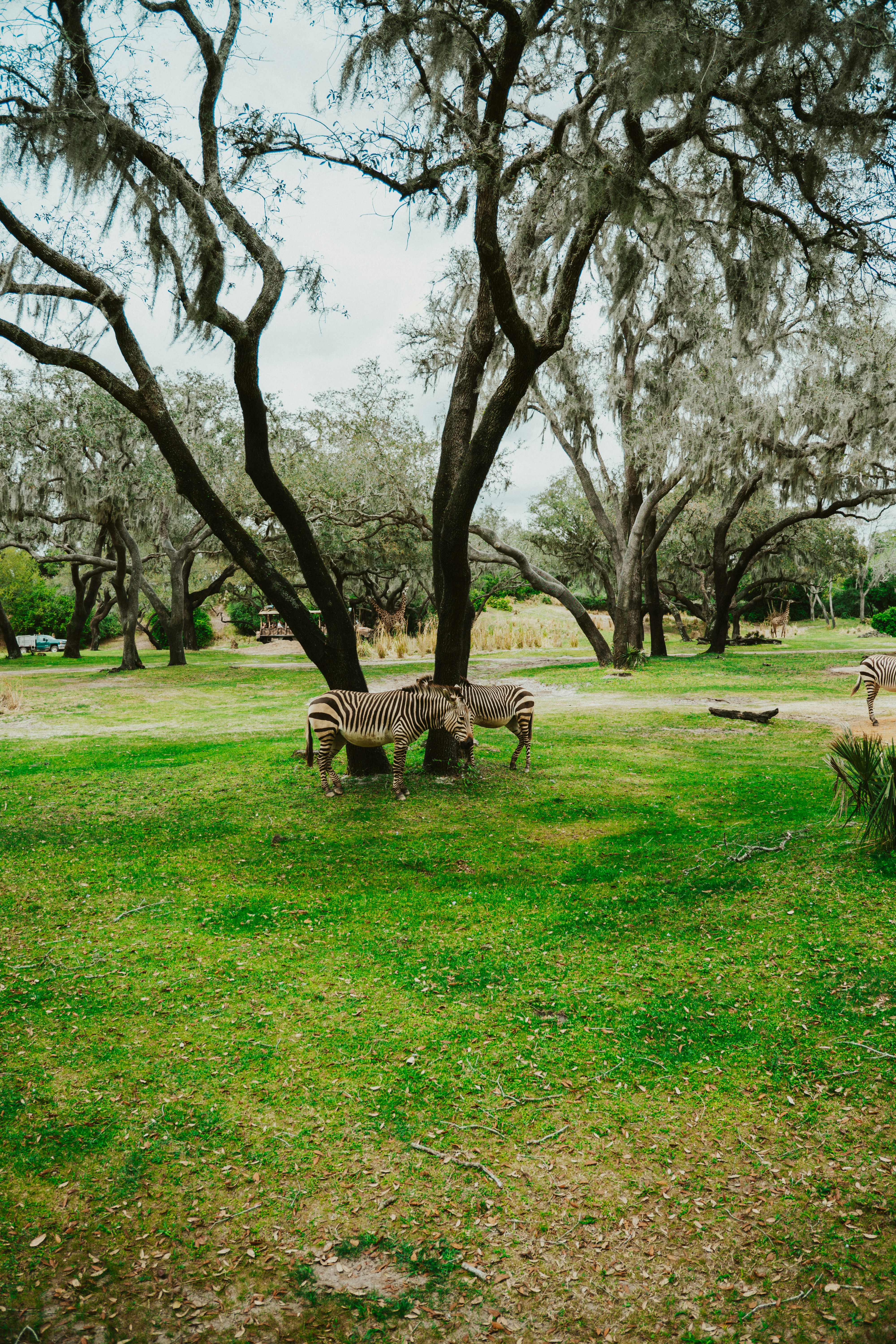 Photo by nickfuentes_