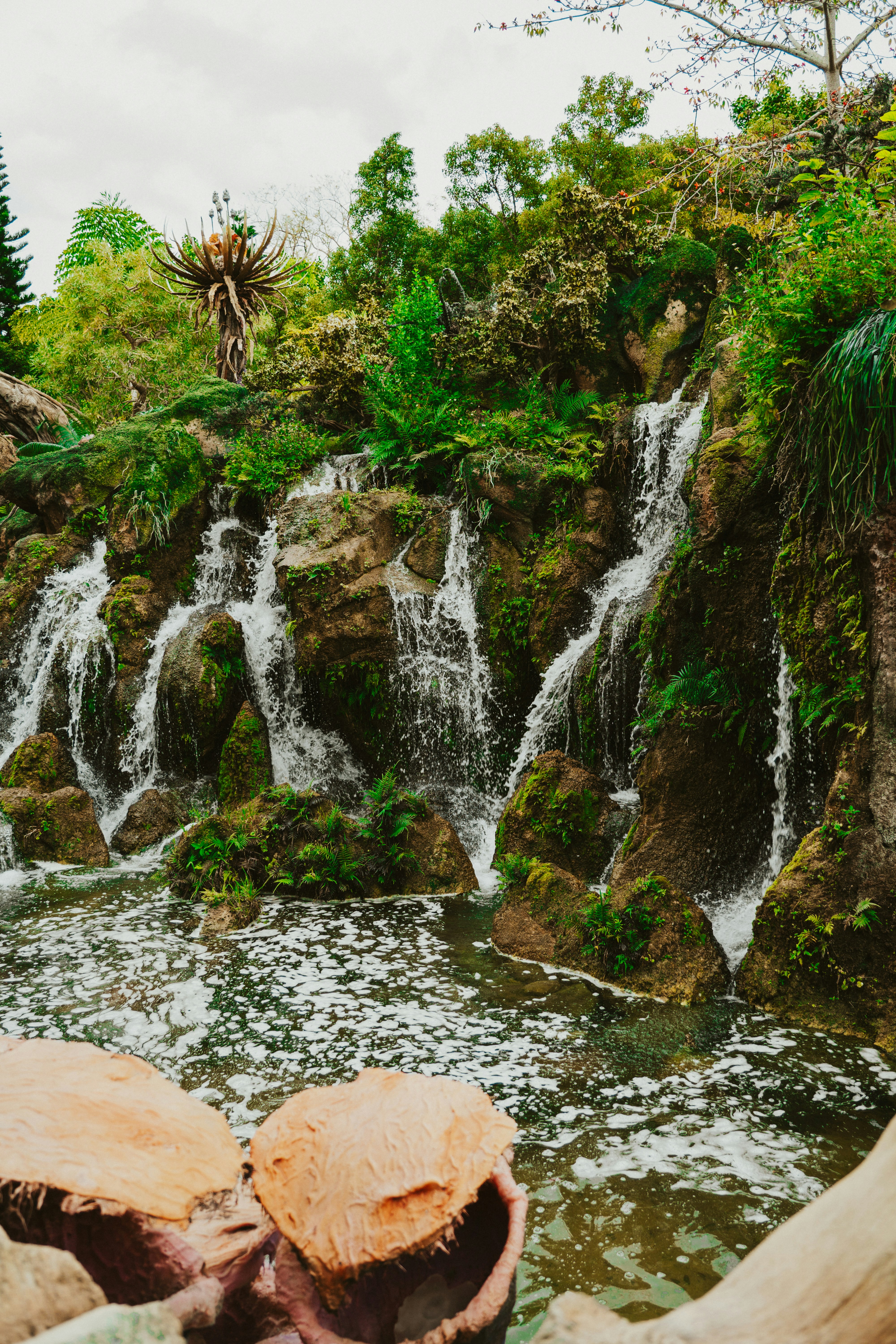 Photo by nickfuentes_