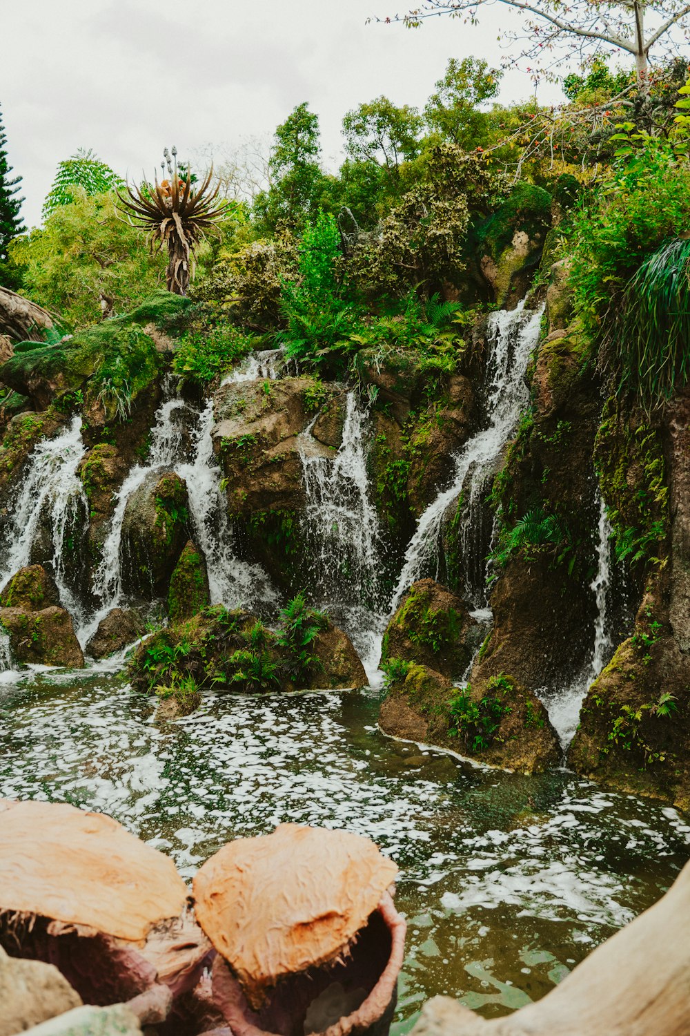 a couple of coconuts sitting in front of a waterfall