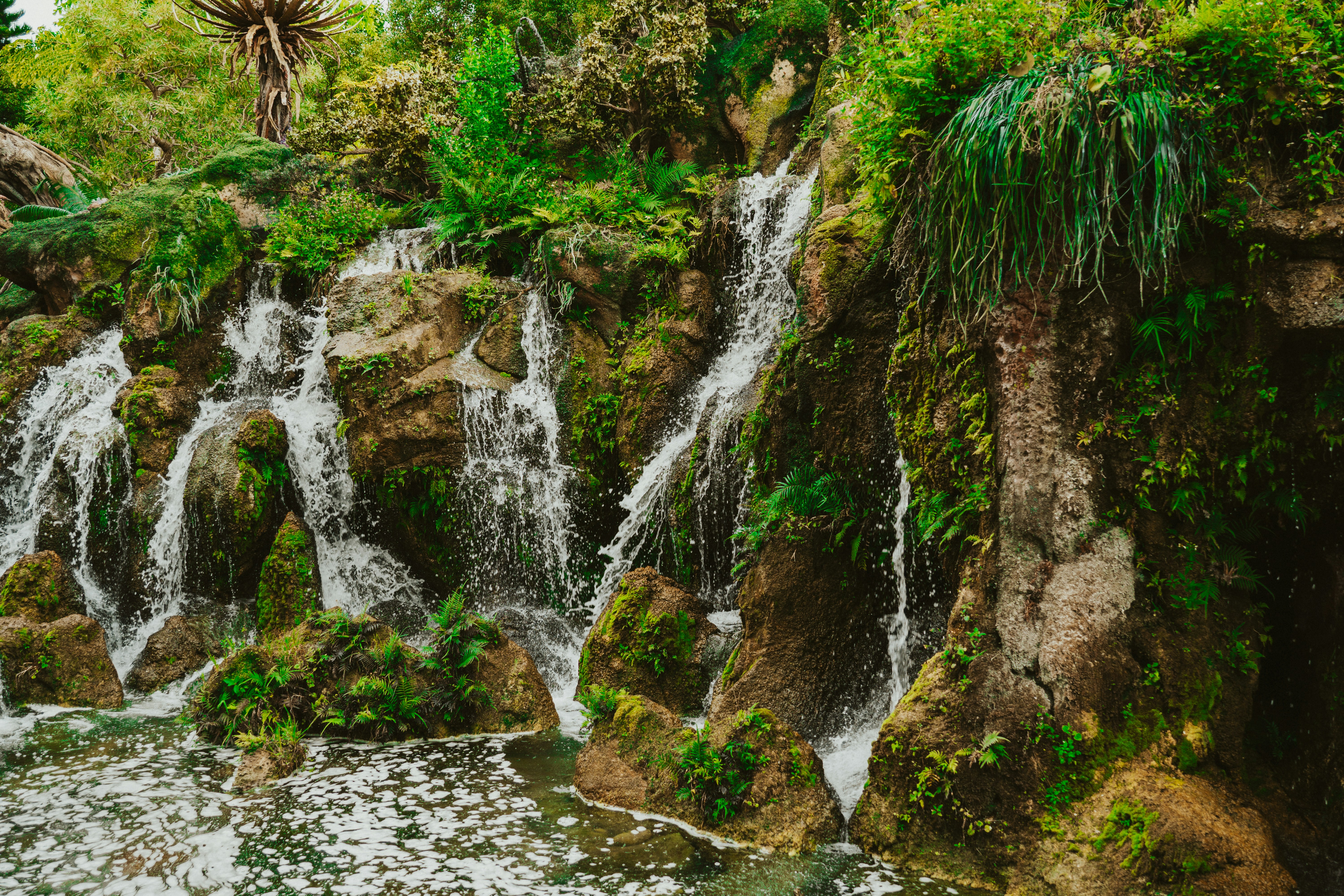 Photo by nickfuentes_