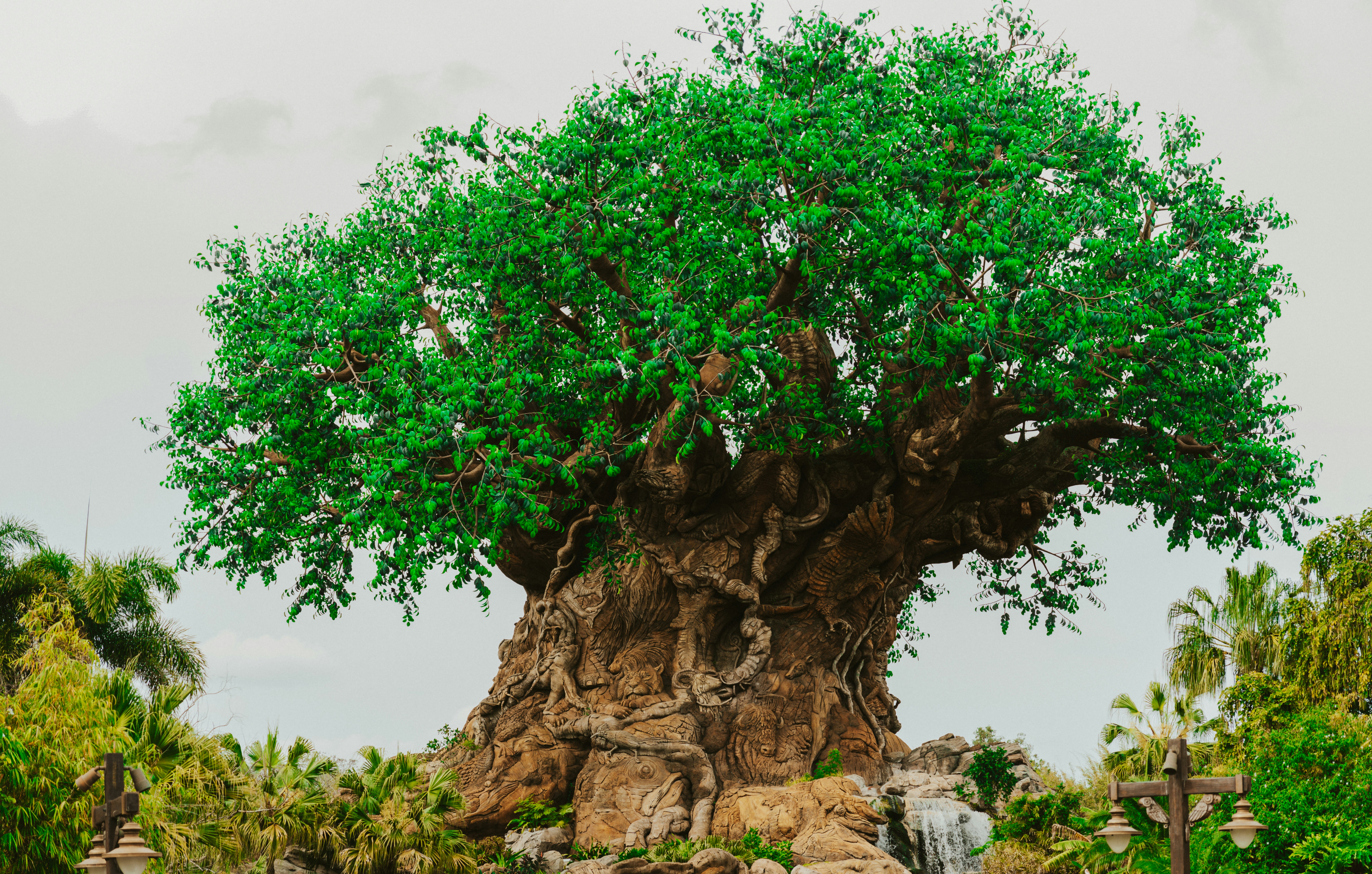 Photo by nickfuentes_