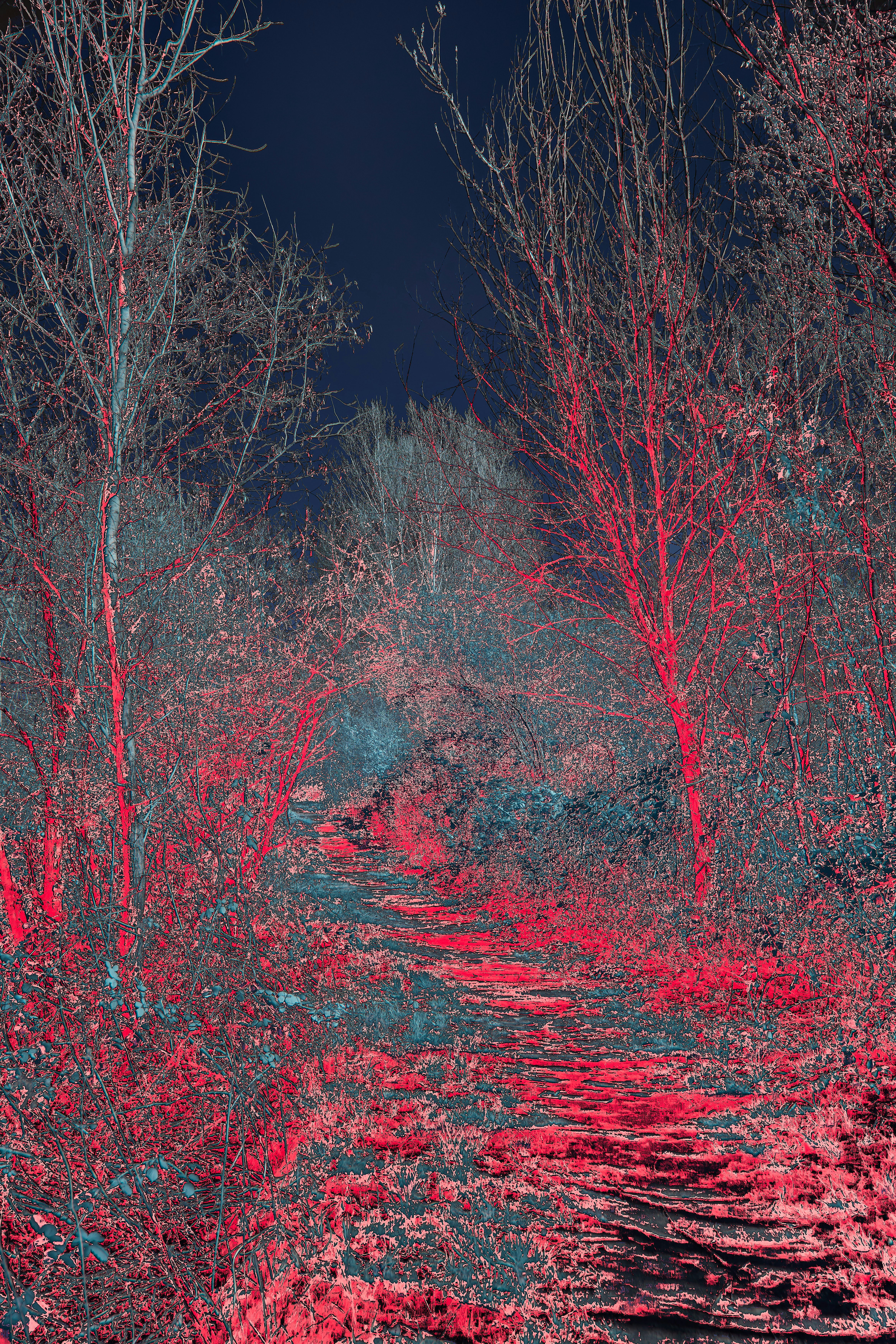 Photo by wolfgang_hasselmann