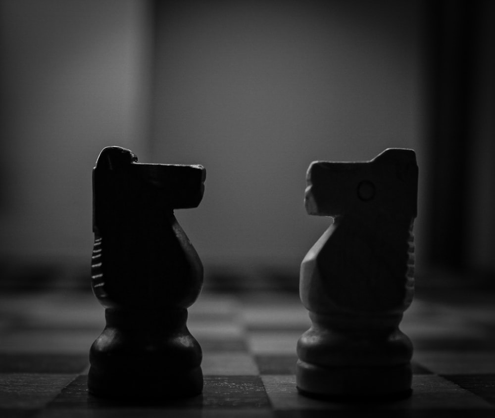a black and white photo of two chess pieces