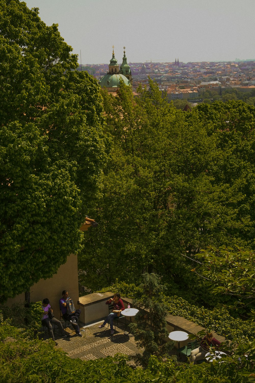 a group of people sitting at a table in the middle of a forest