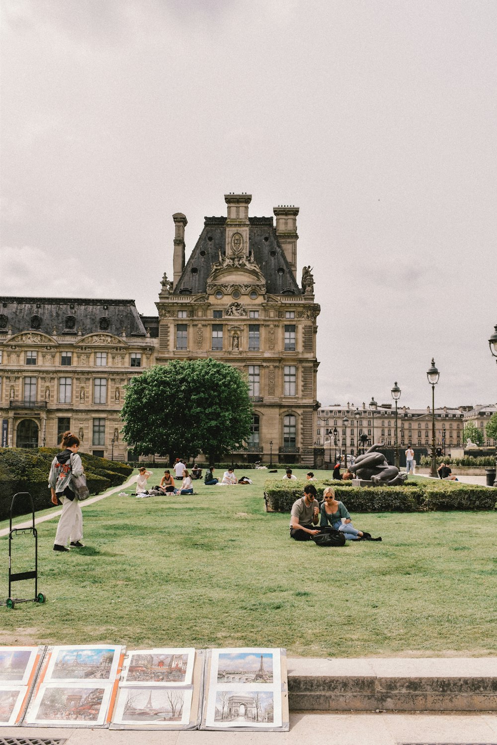 a group of people sitting on top of a lush green field