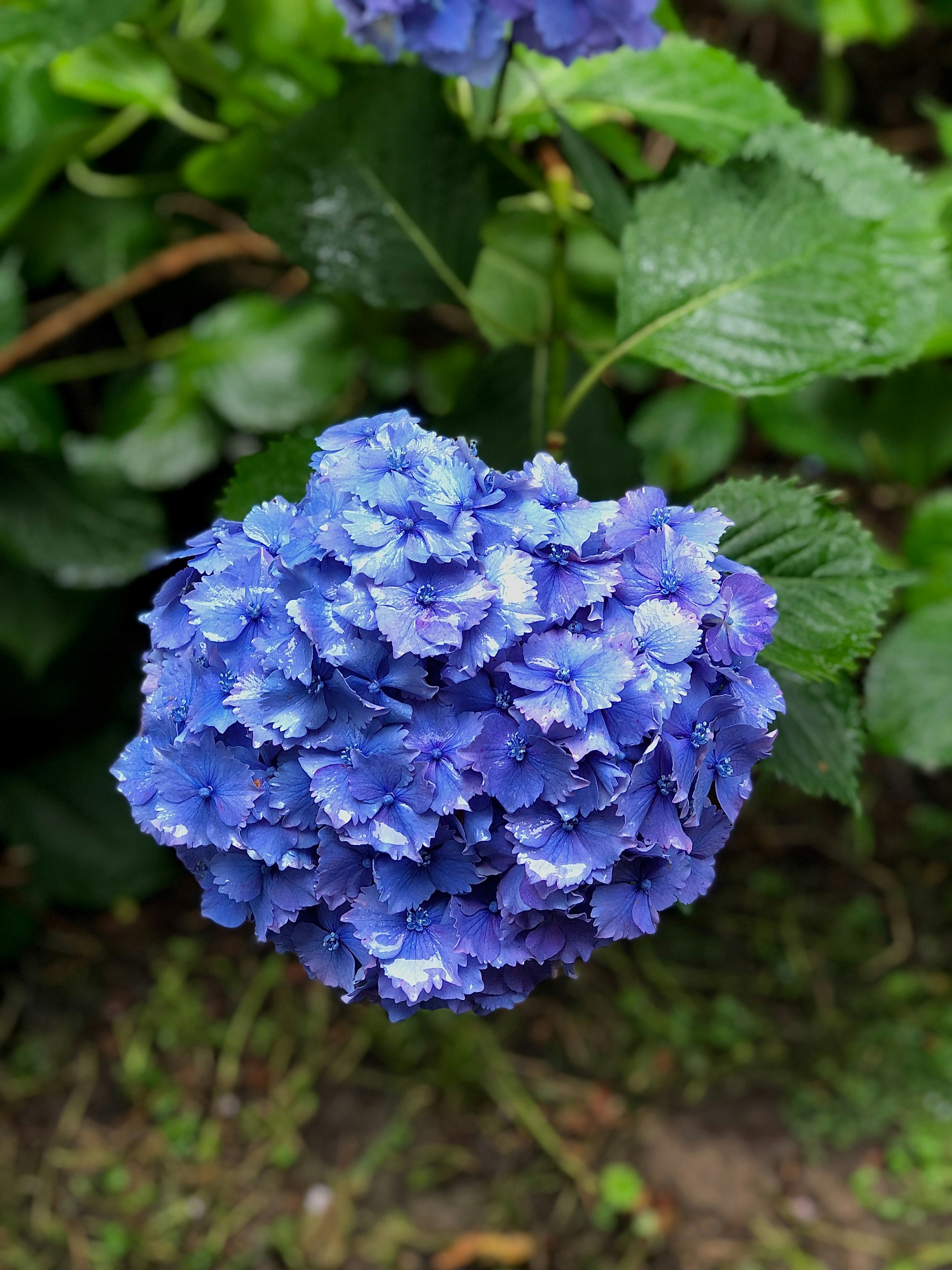 Photo by wald_creations