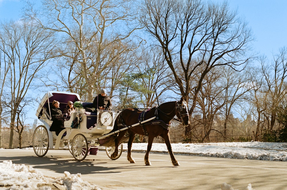 a horse drawn carriage traveling down a snow covered road