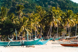 a group of boats sitting on top of a sandy beach