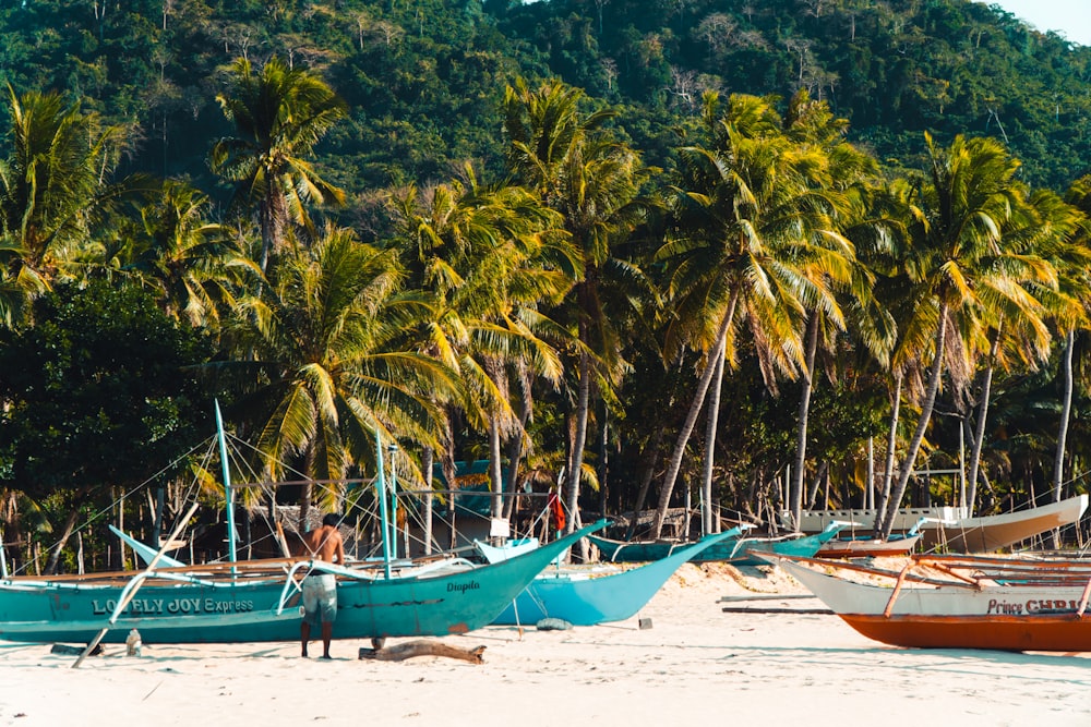 a group of boats sitting on top of a sandy beach