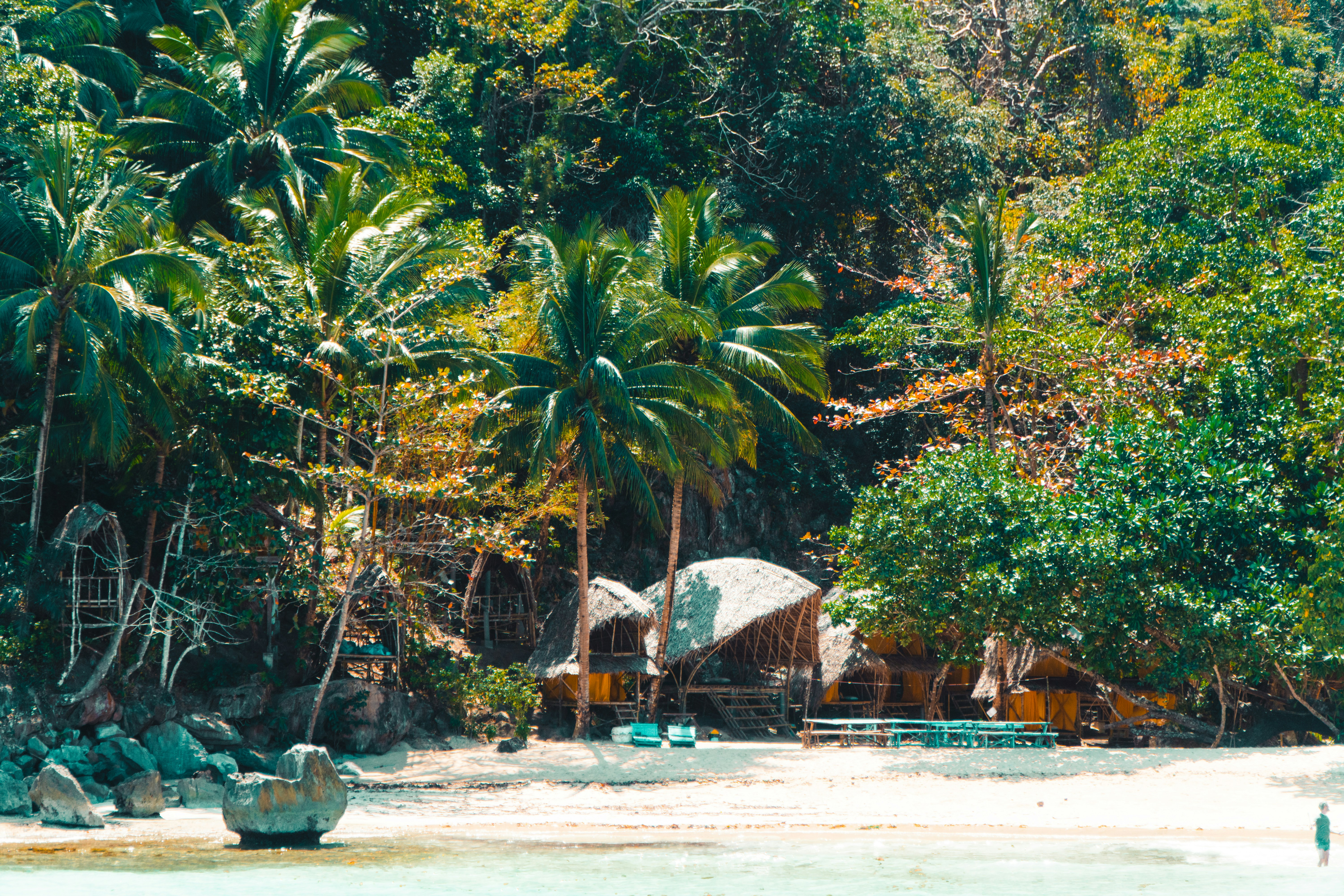 a sandy beach with a hut and trees, 