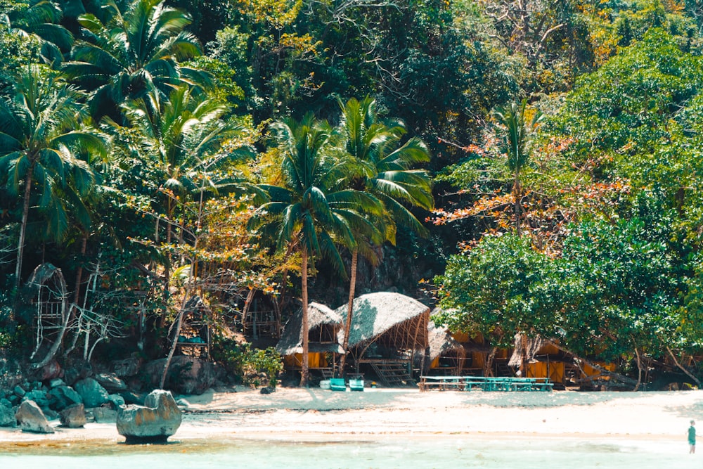a sandy beach with a hut and trees