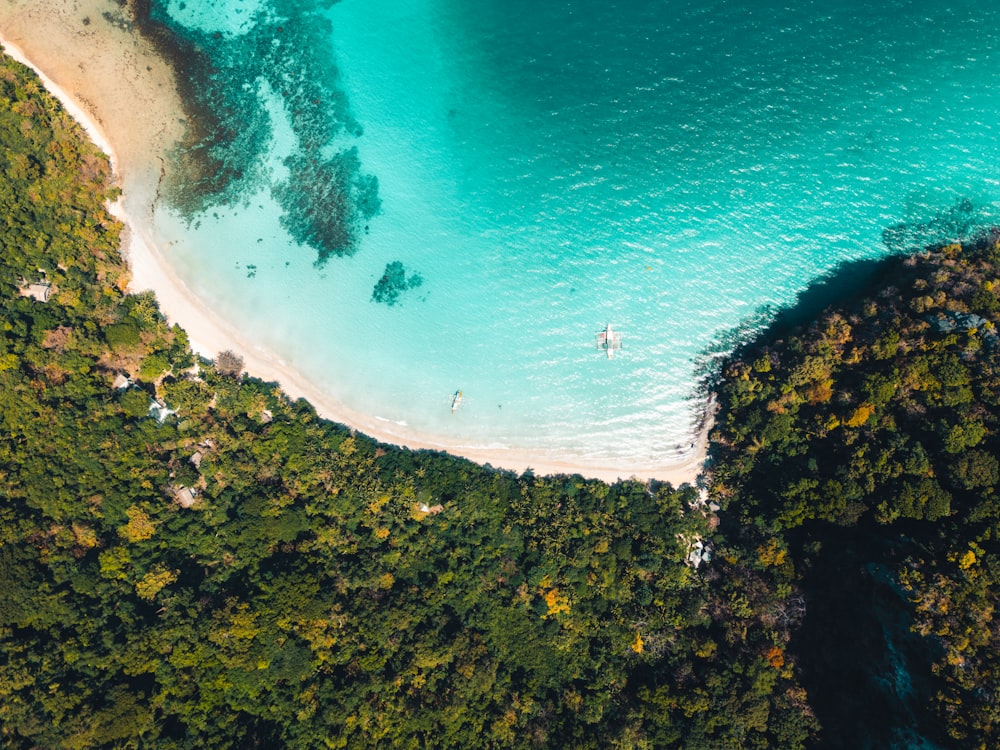 an aerial view of a beach and a body of water