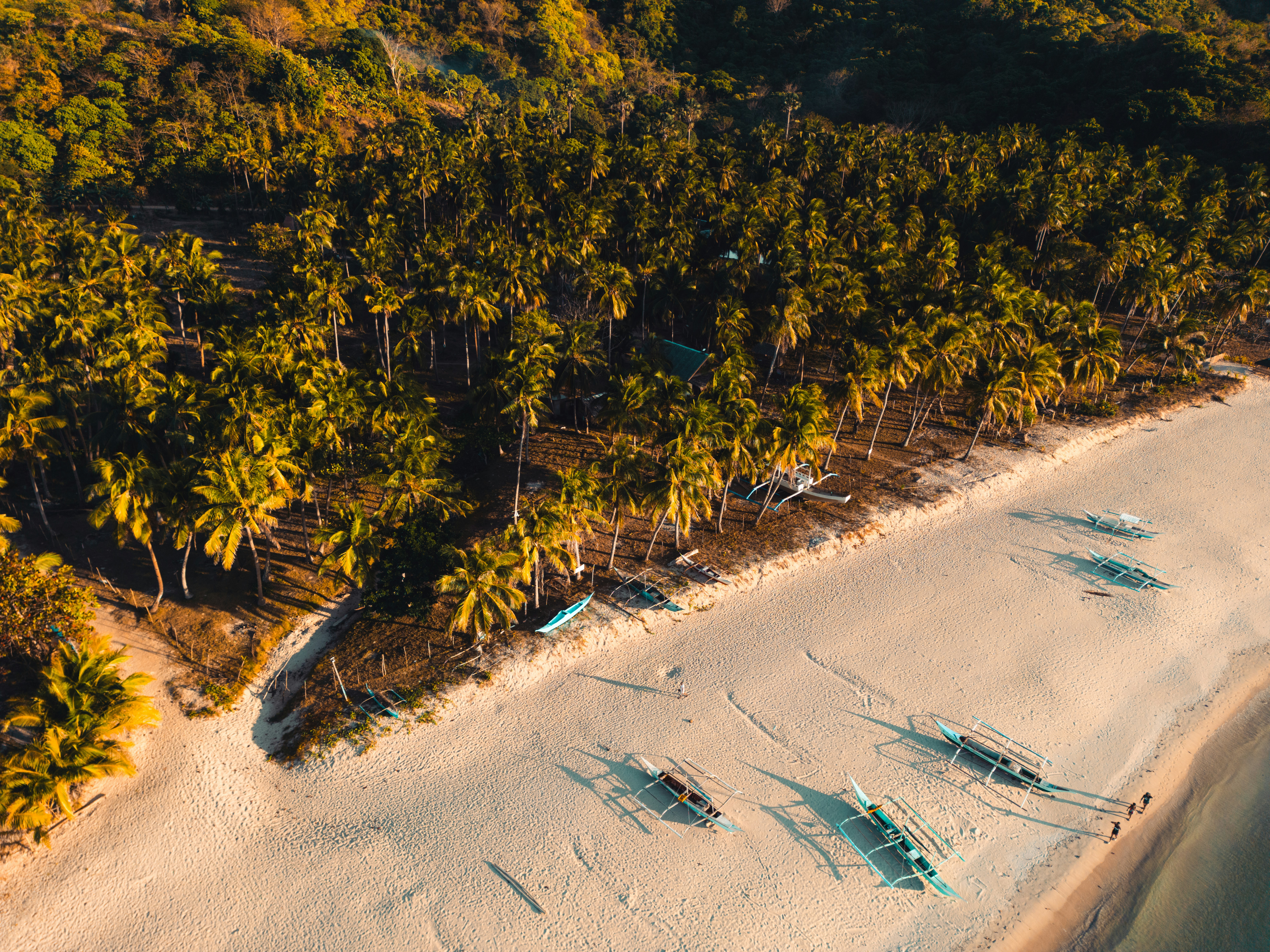 an aerial view of a beach with boats and palm trees, 