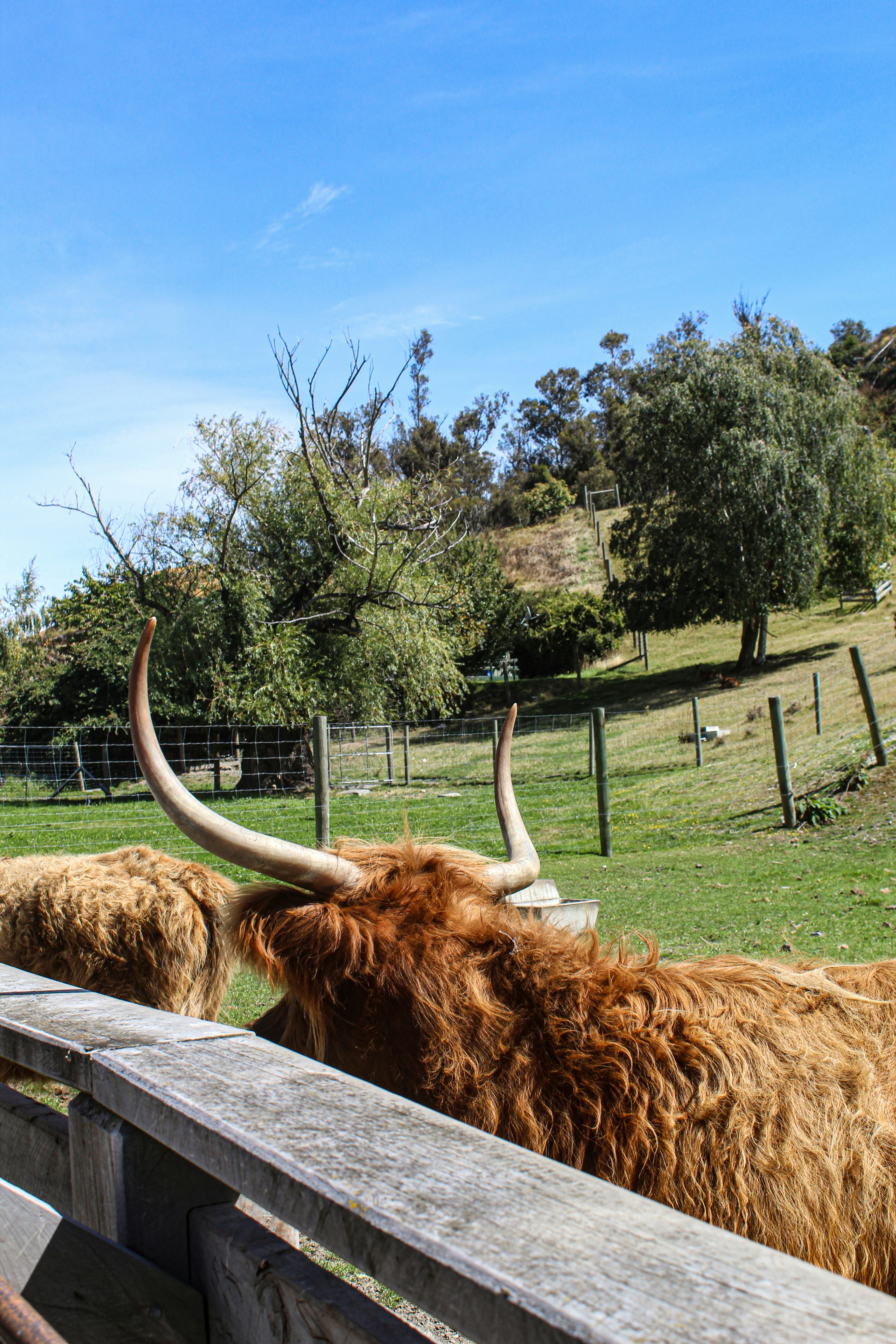 Te Anau – Neighborhoods & Urban Structure