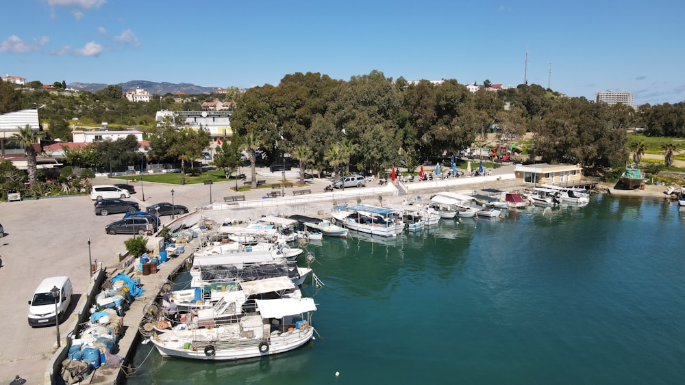 a marina filled with lots of boats on top of a lake