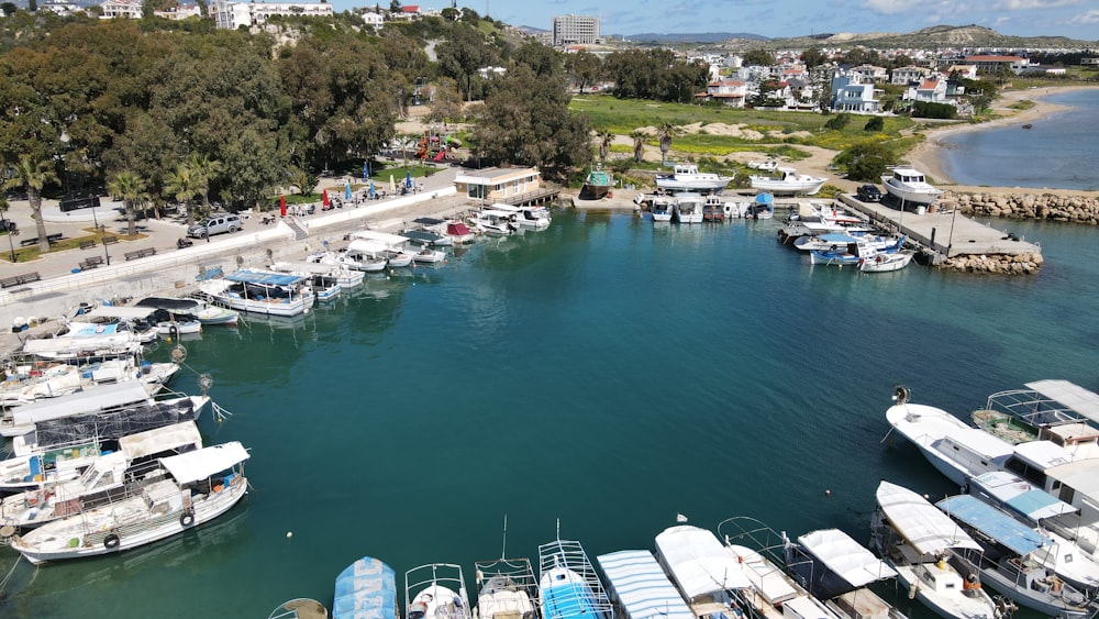 a harbor filled with lots of white boats