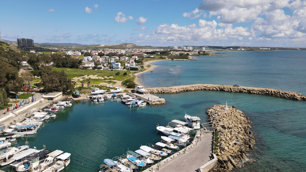 a marina filled with lots of boats on top of a body of water