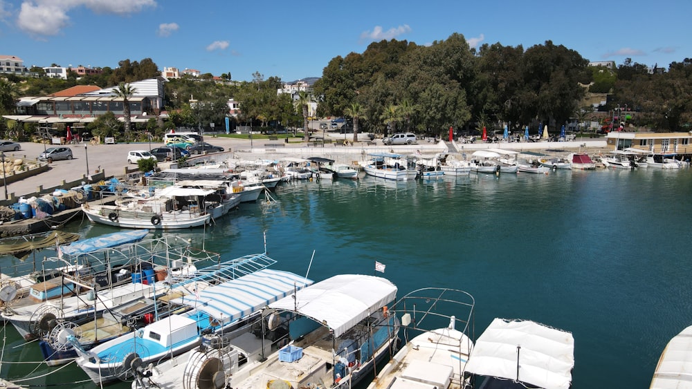 a harbor filled with lots of small boats