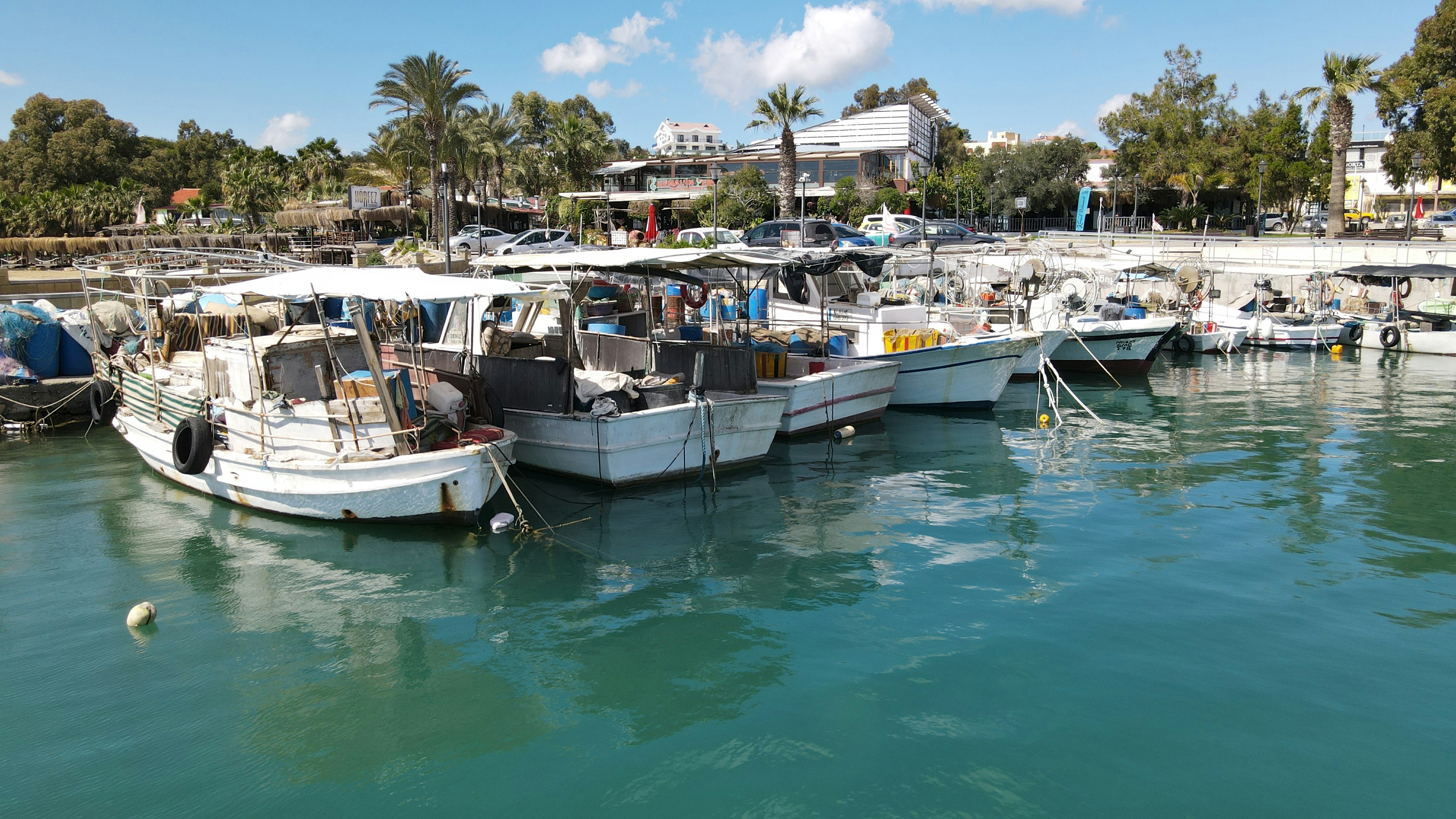 Photo by meisam_saeb