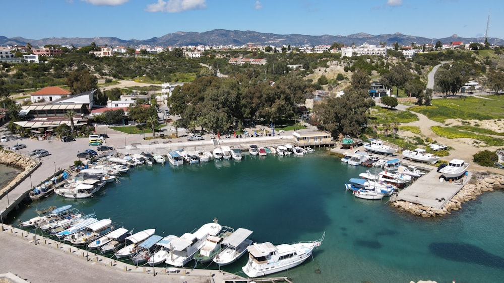 a marina filled with lots of boats next to a lush green hillside