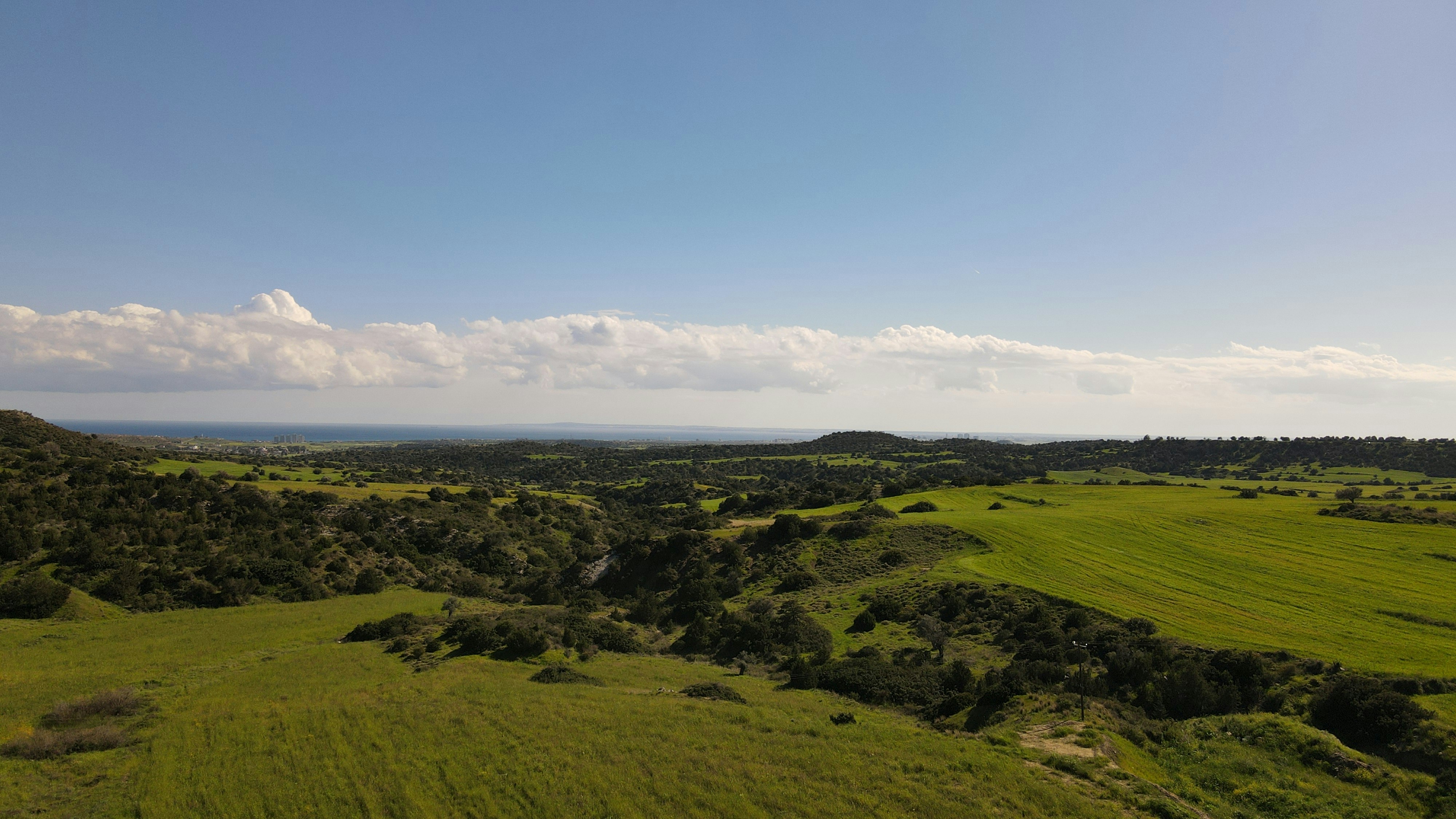 Photo by meisam_saeb