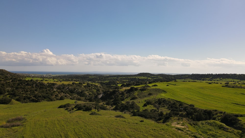 an aerial view of a lush green field