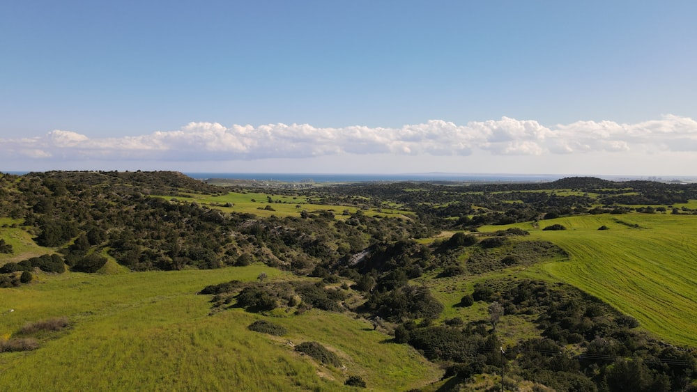 an aerial view of a lush green field