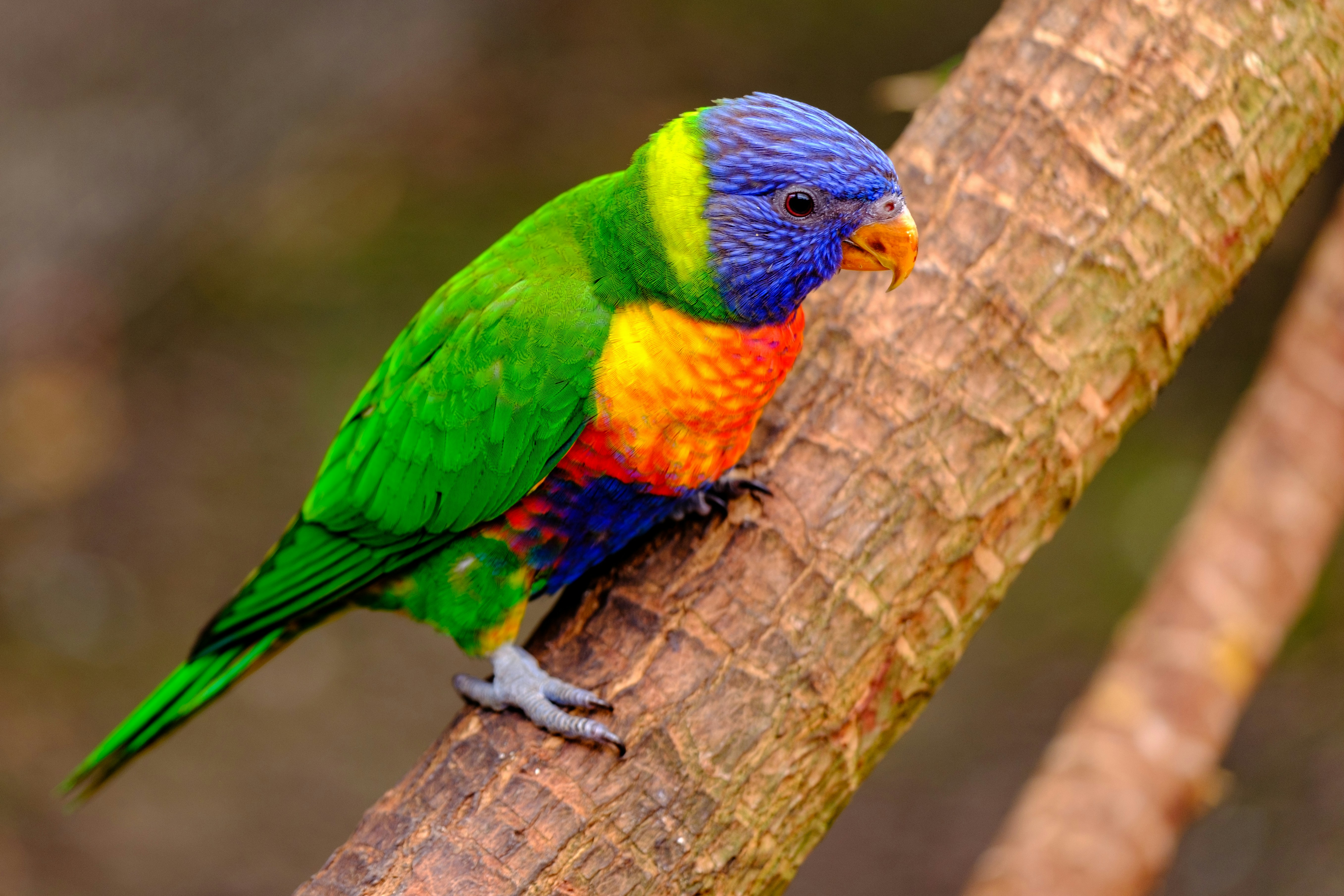 Photo by haberdoedas2