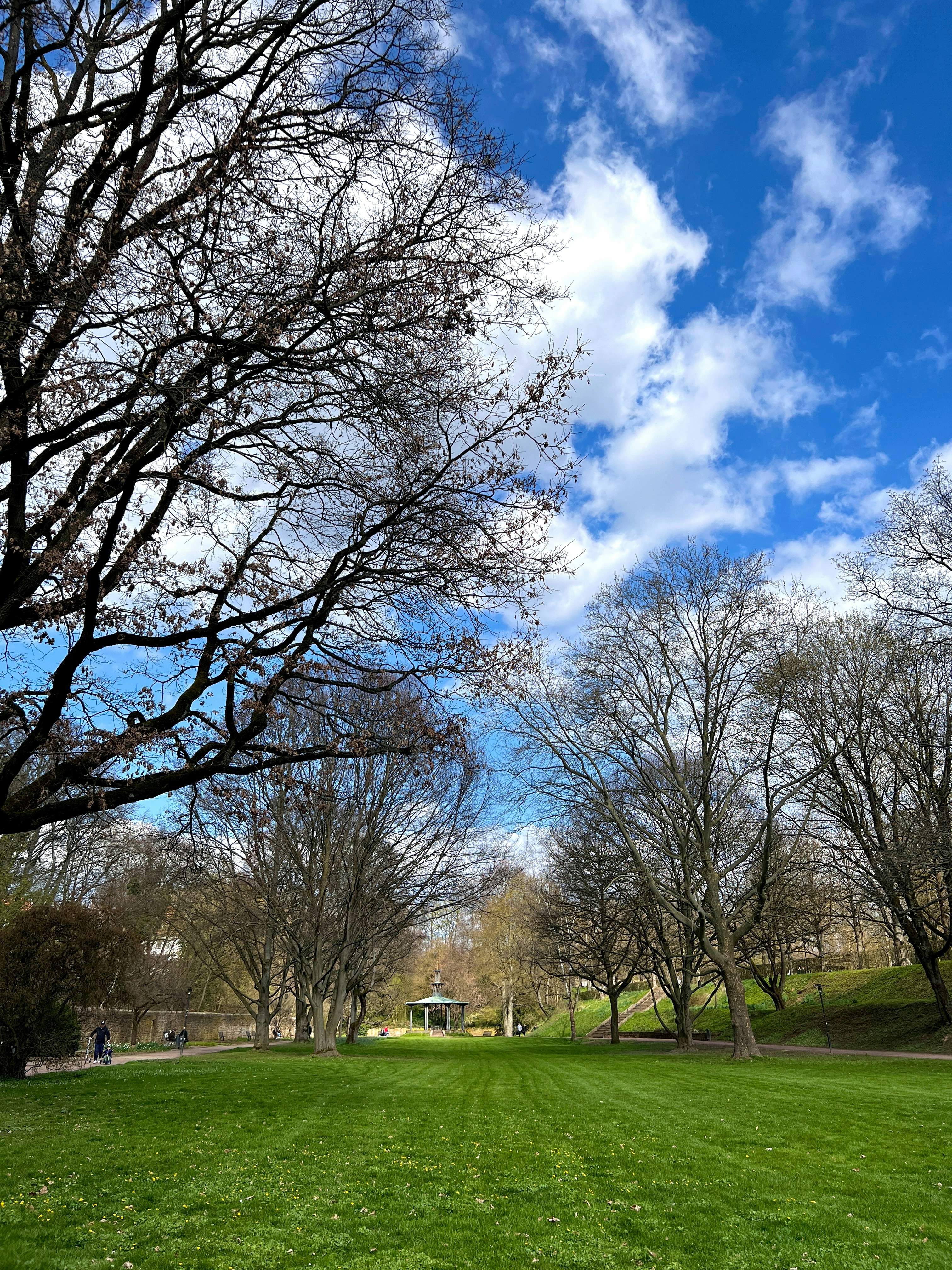 Photo by wald_creations