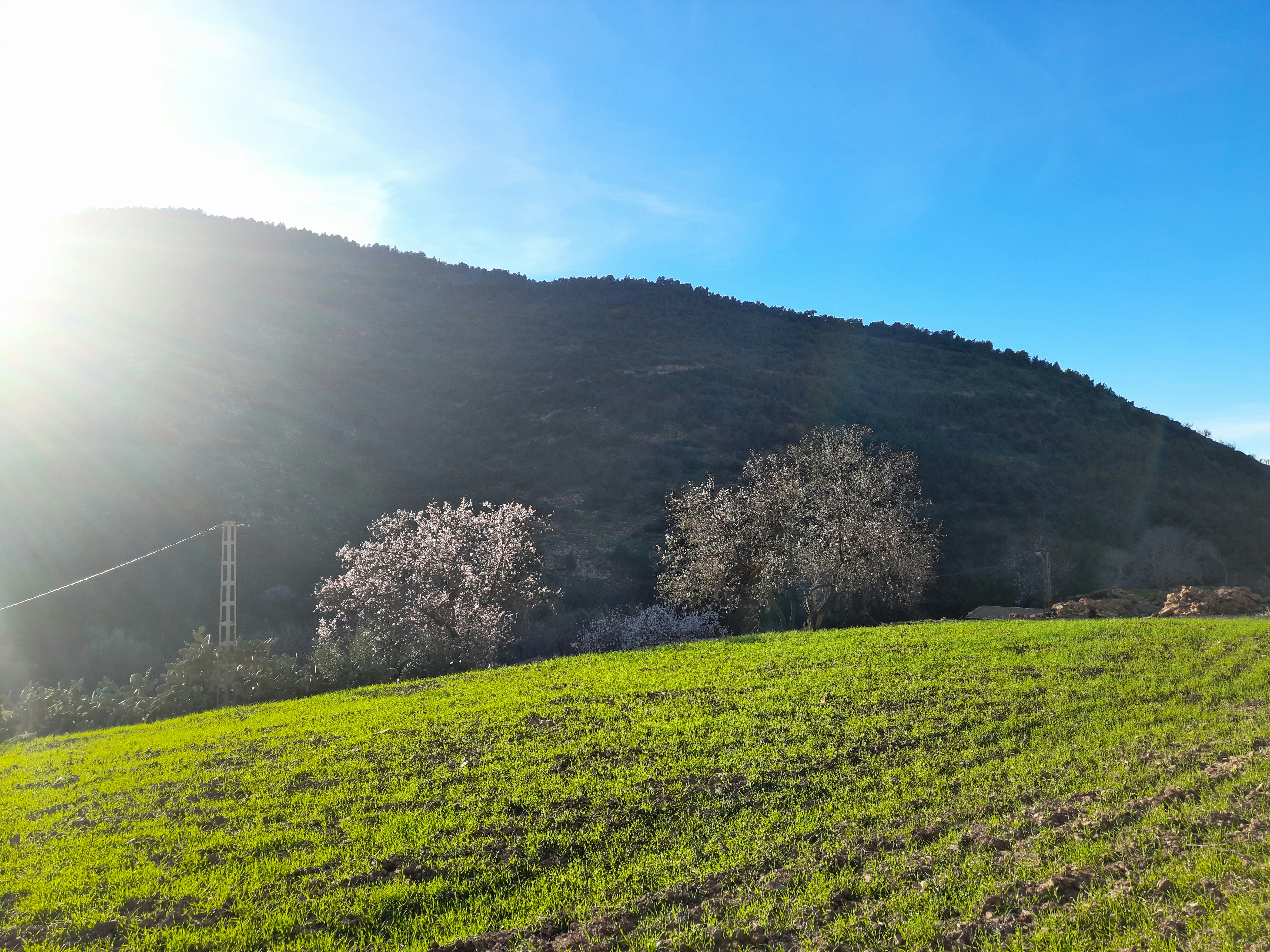 Cranberry Hills Menu