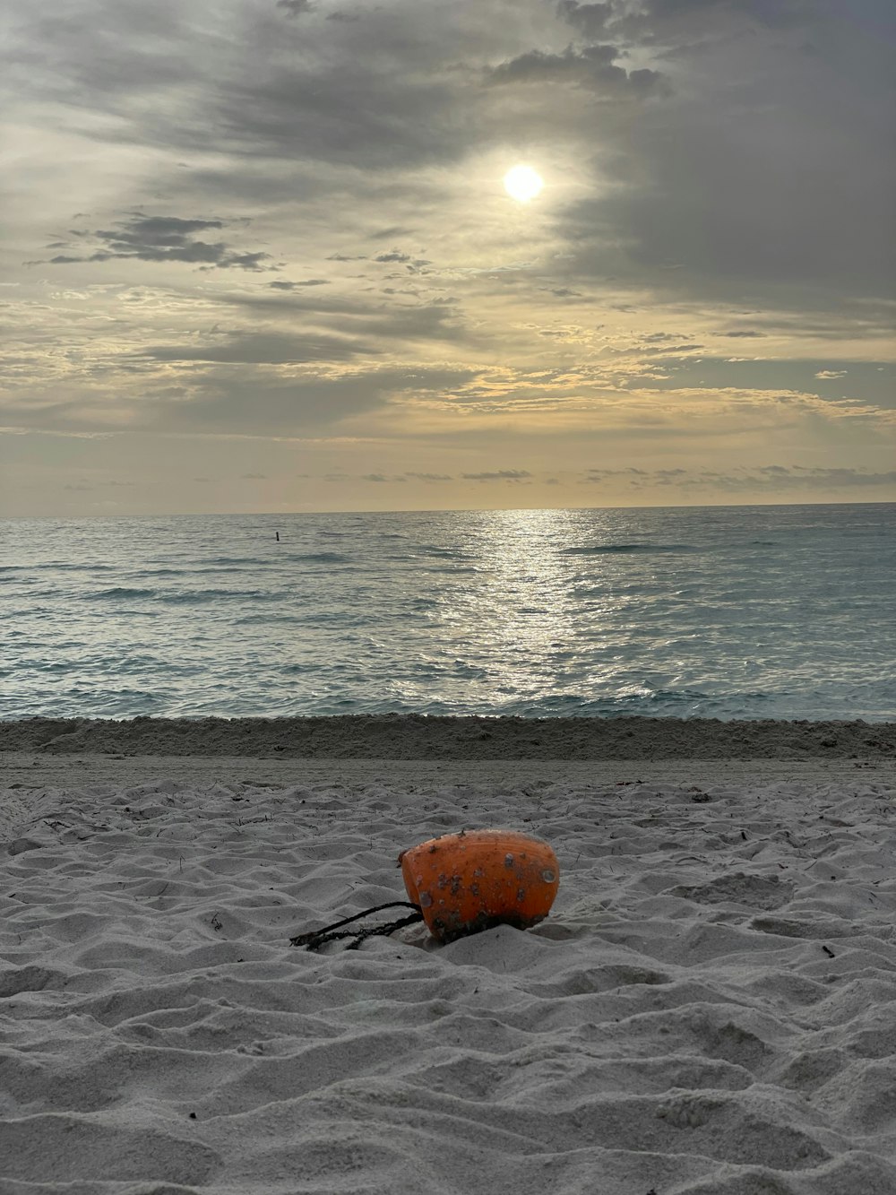 a life preserver on a beach with the ocean in the background