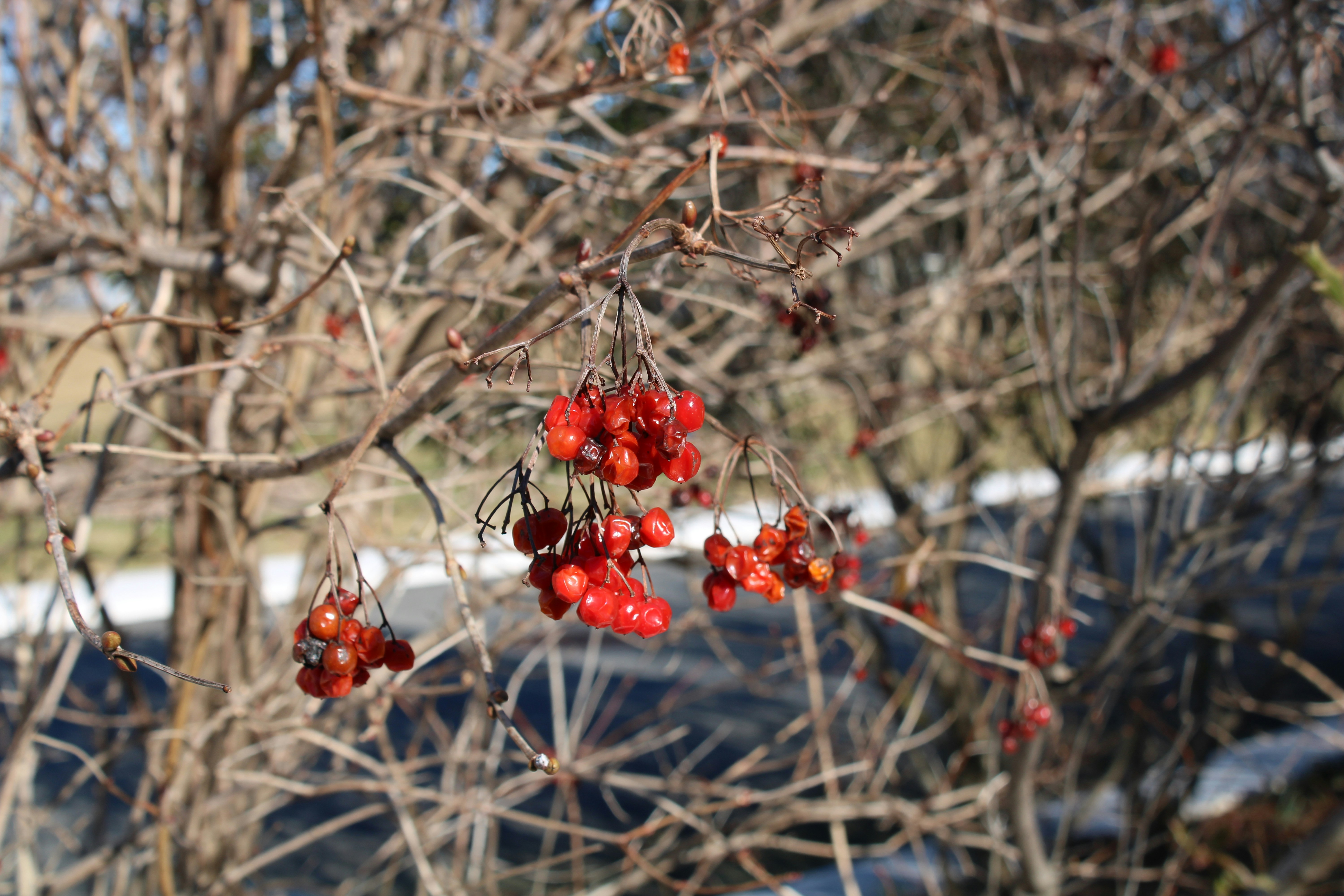 Photo by alyssacoulter12