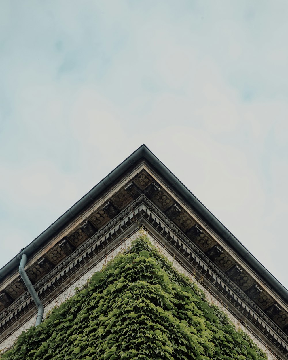 a very tall building covered in green plants