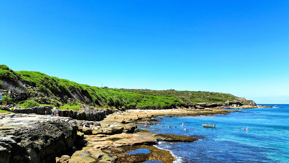 a group of people standing on top of a lush green hillside next to the ocean