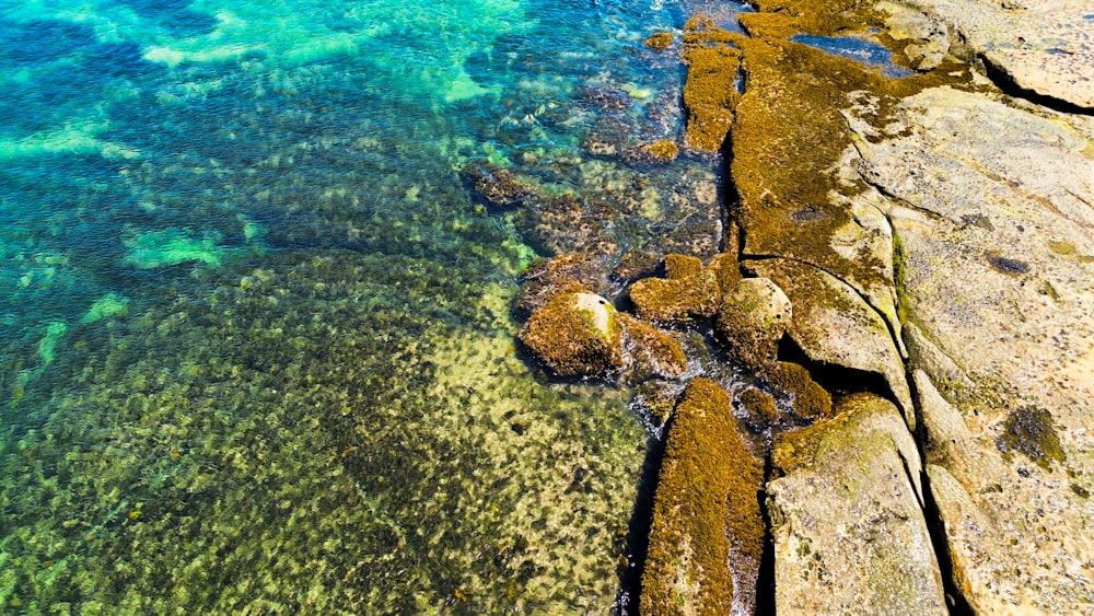 an aerial view of a rocky shoreline with clear blue water