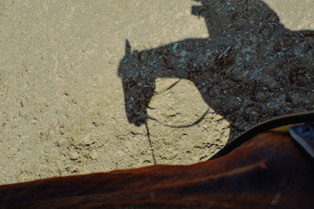 a shadow of a horse on the ground