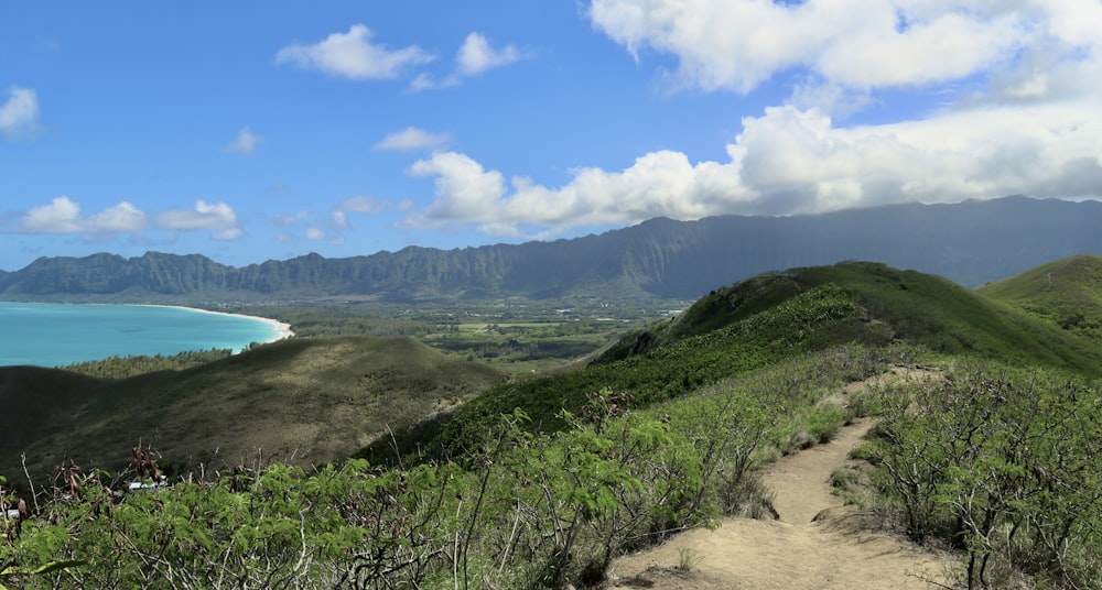 a view of the ocean from the top of a hill