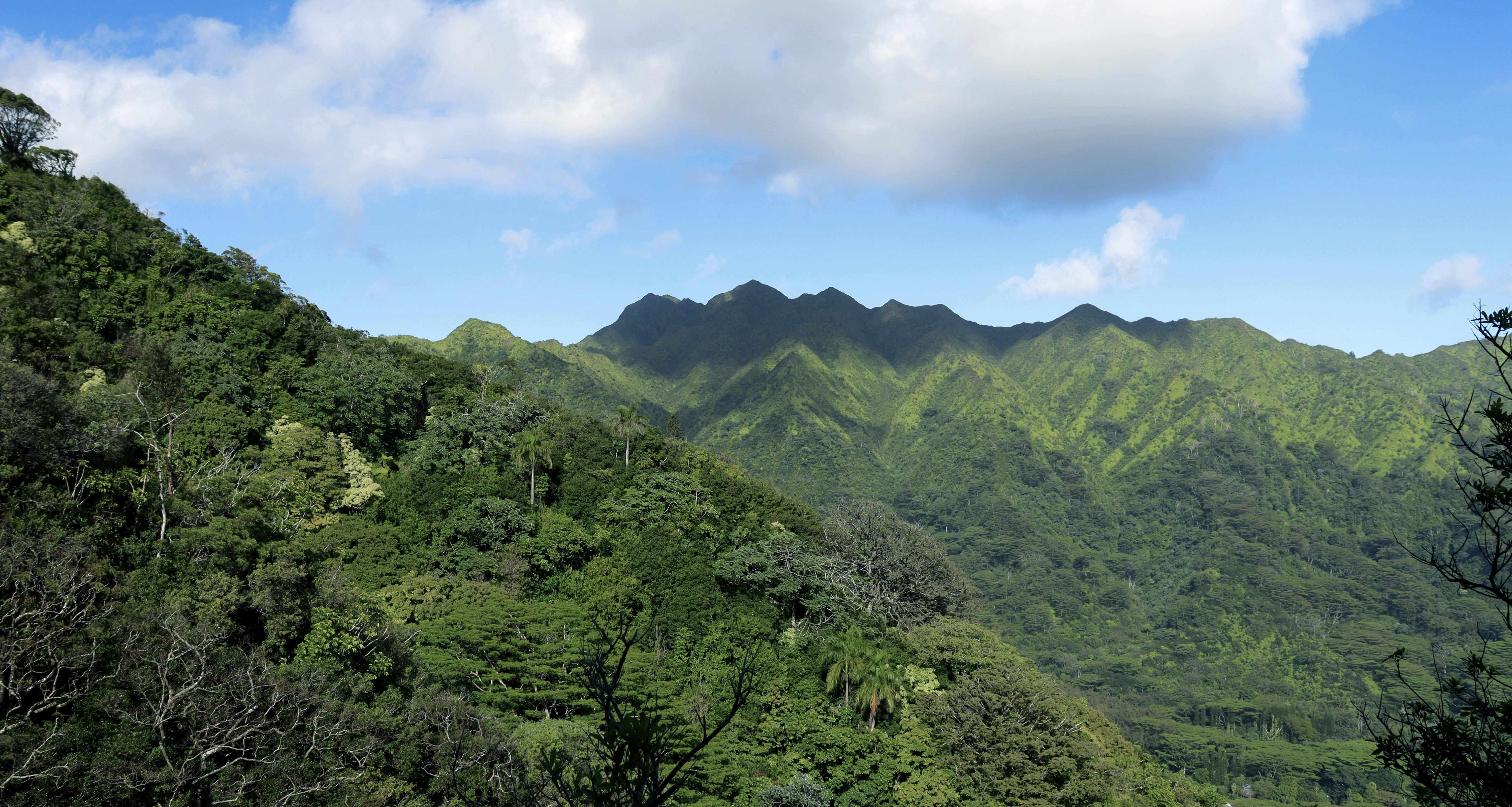 Photo by josh3rsmith