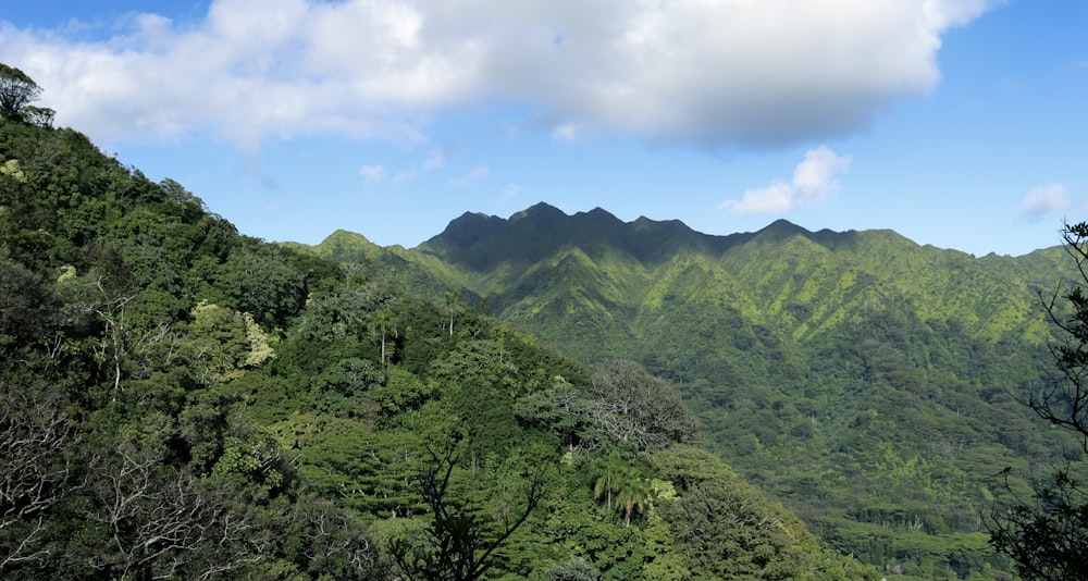 a view of a mountain range from a distance